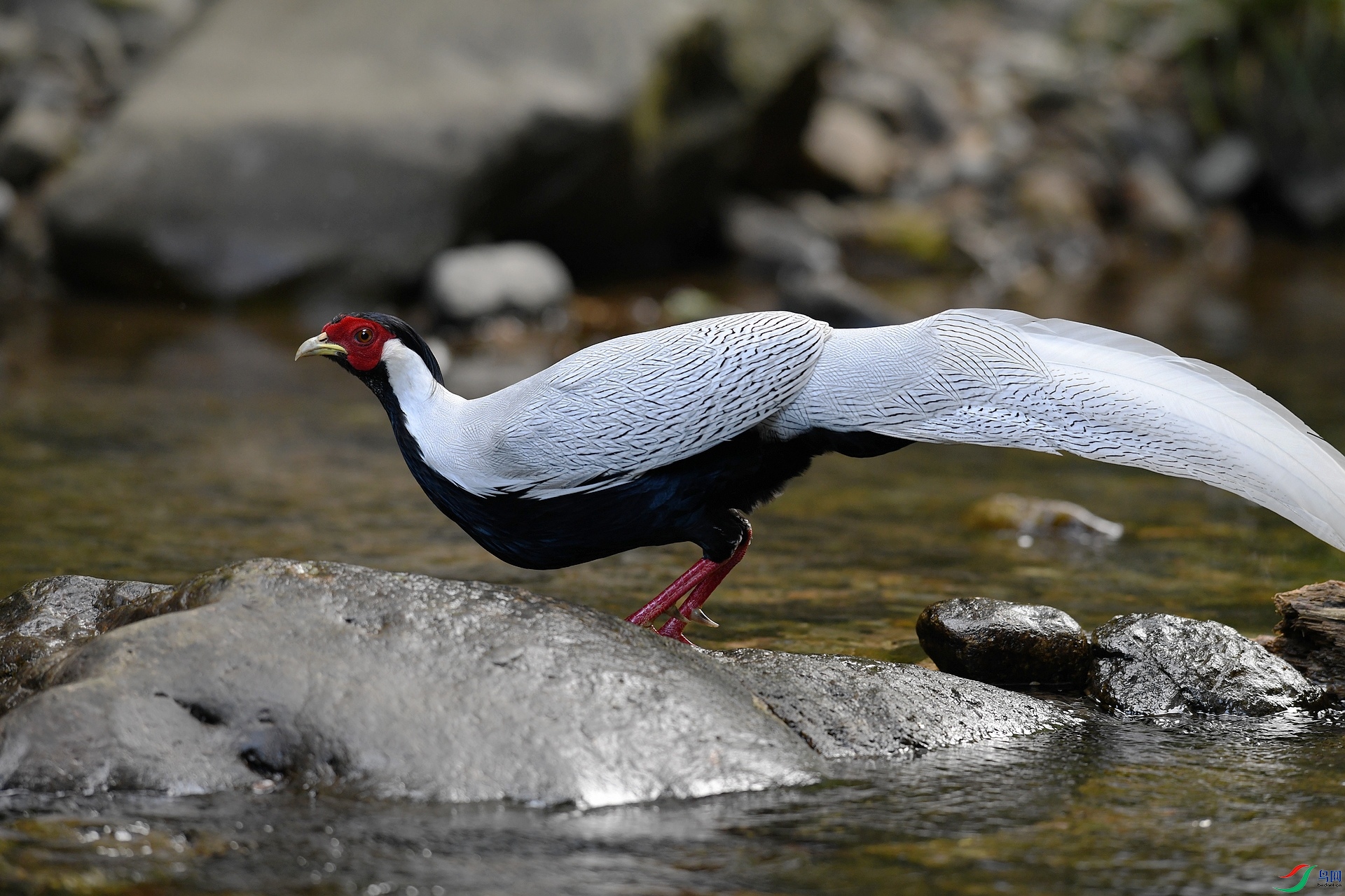 DSC_4043.jpg