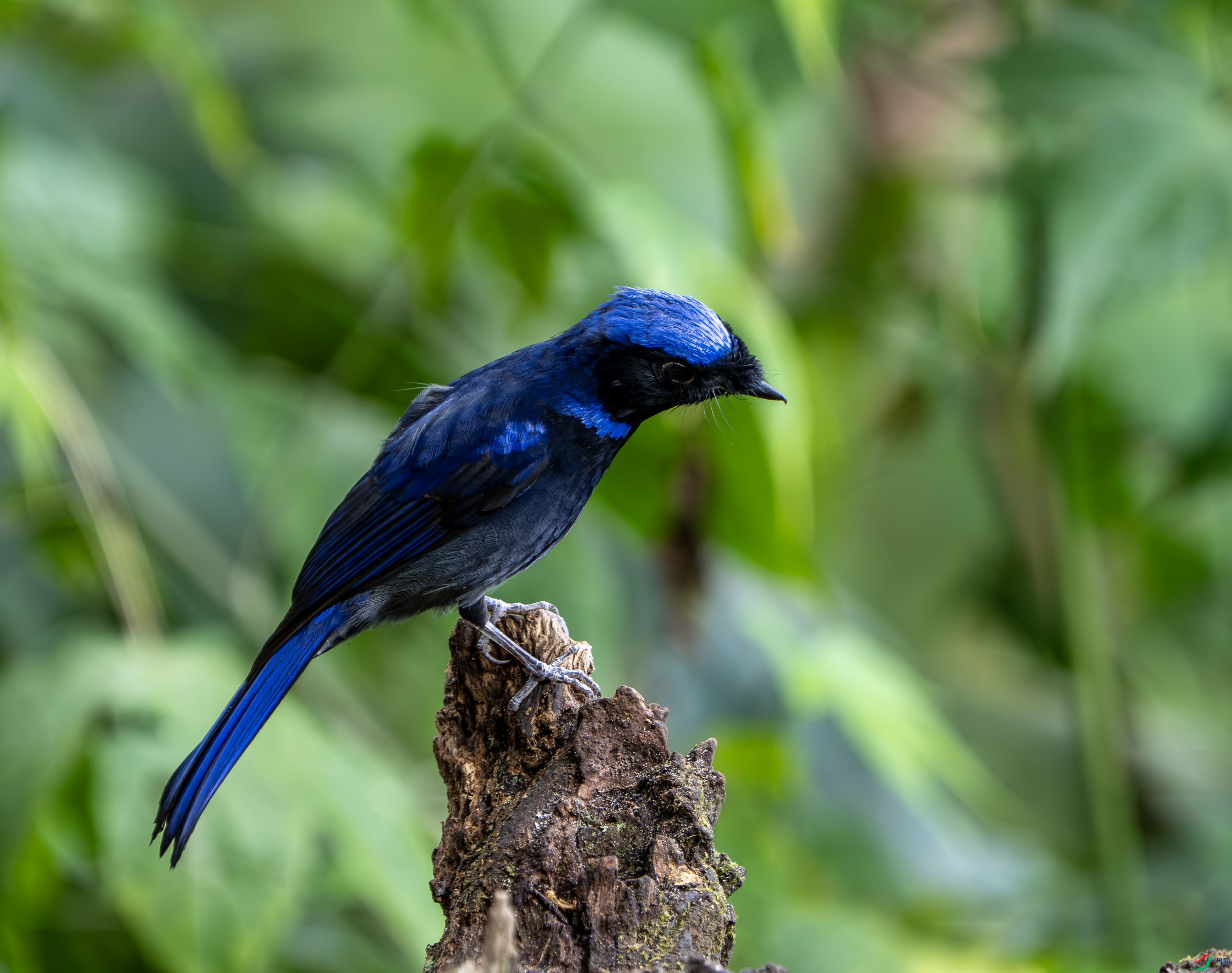 С���l-3.jpg
