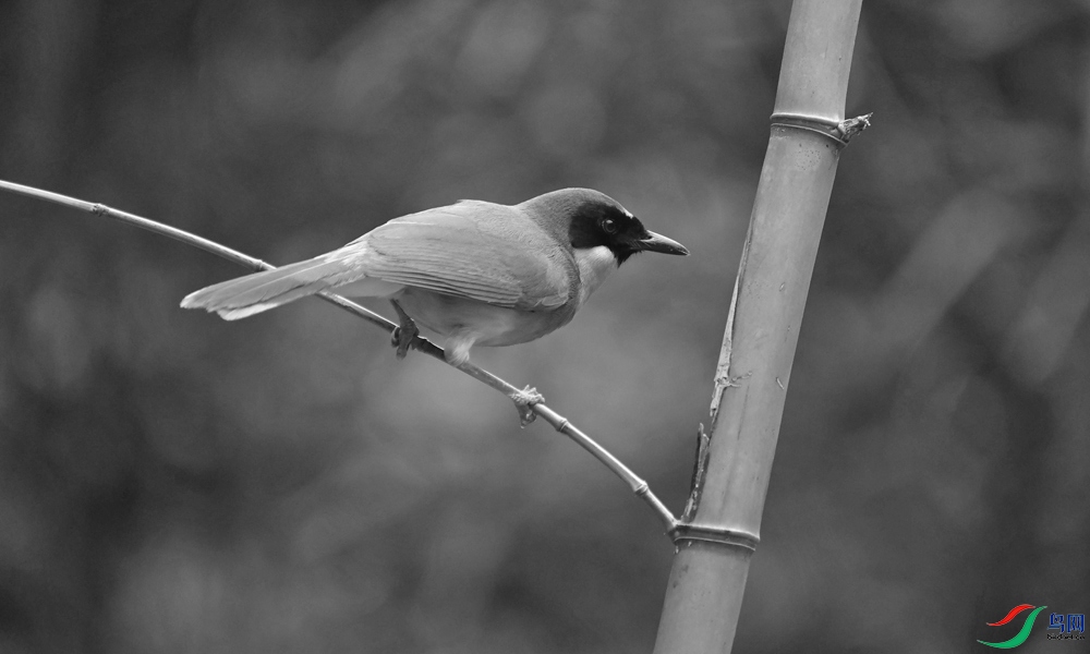 DSCF6187.1.jpg