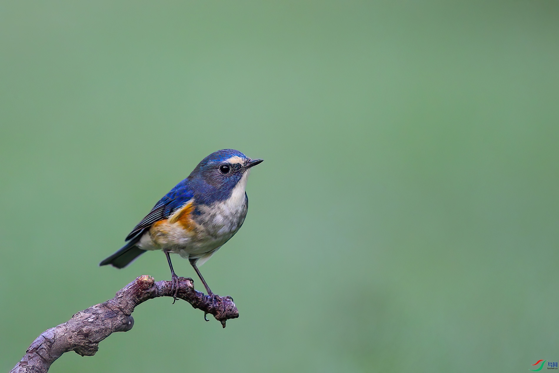 AQ4P0832-1.jpg