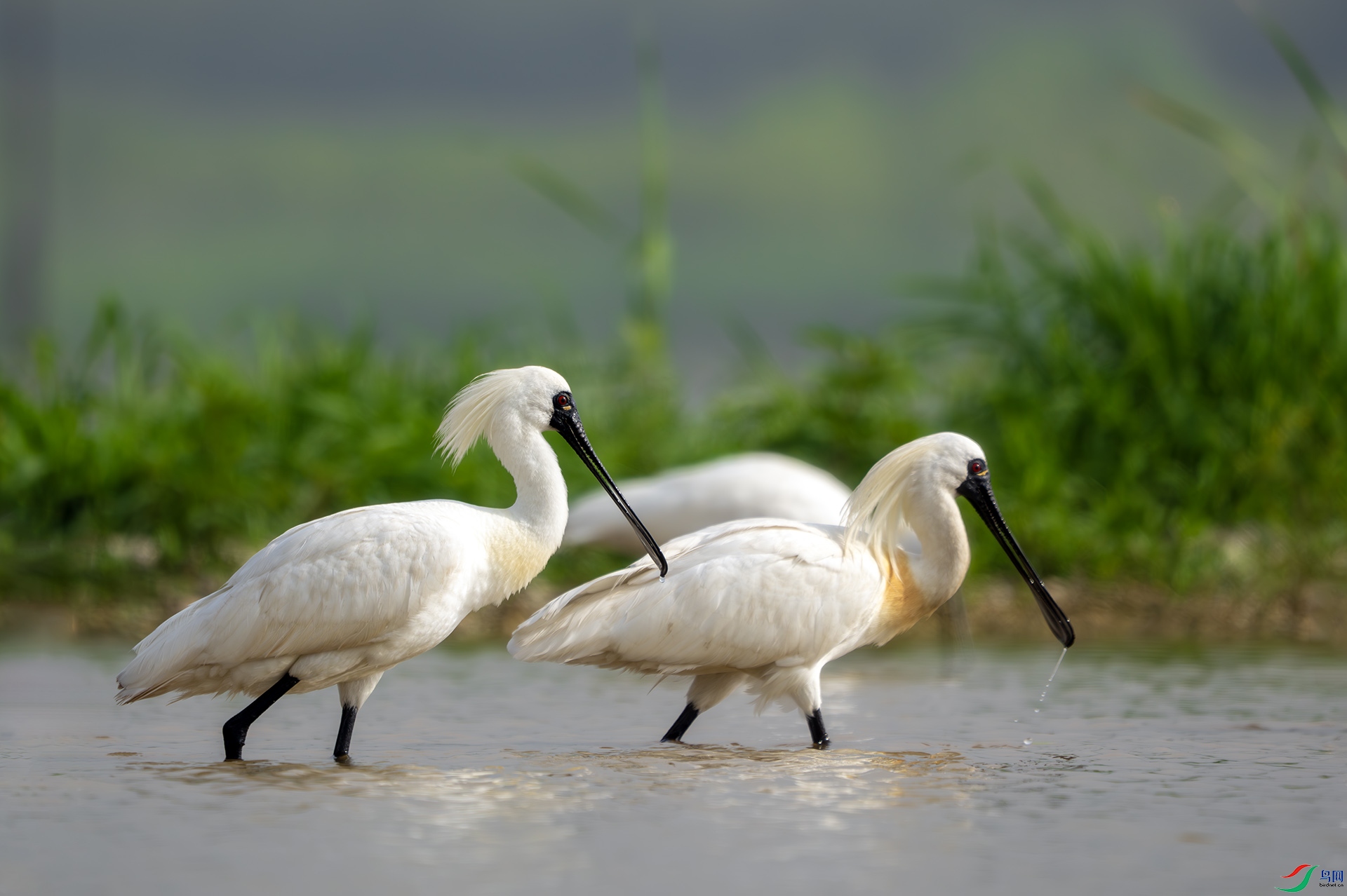 DSC00300-����ǿ-NR ����.jpg