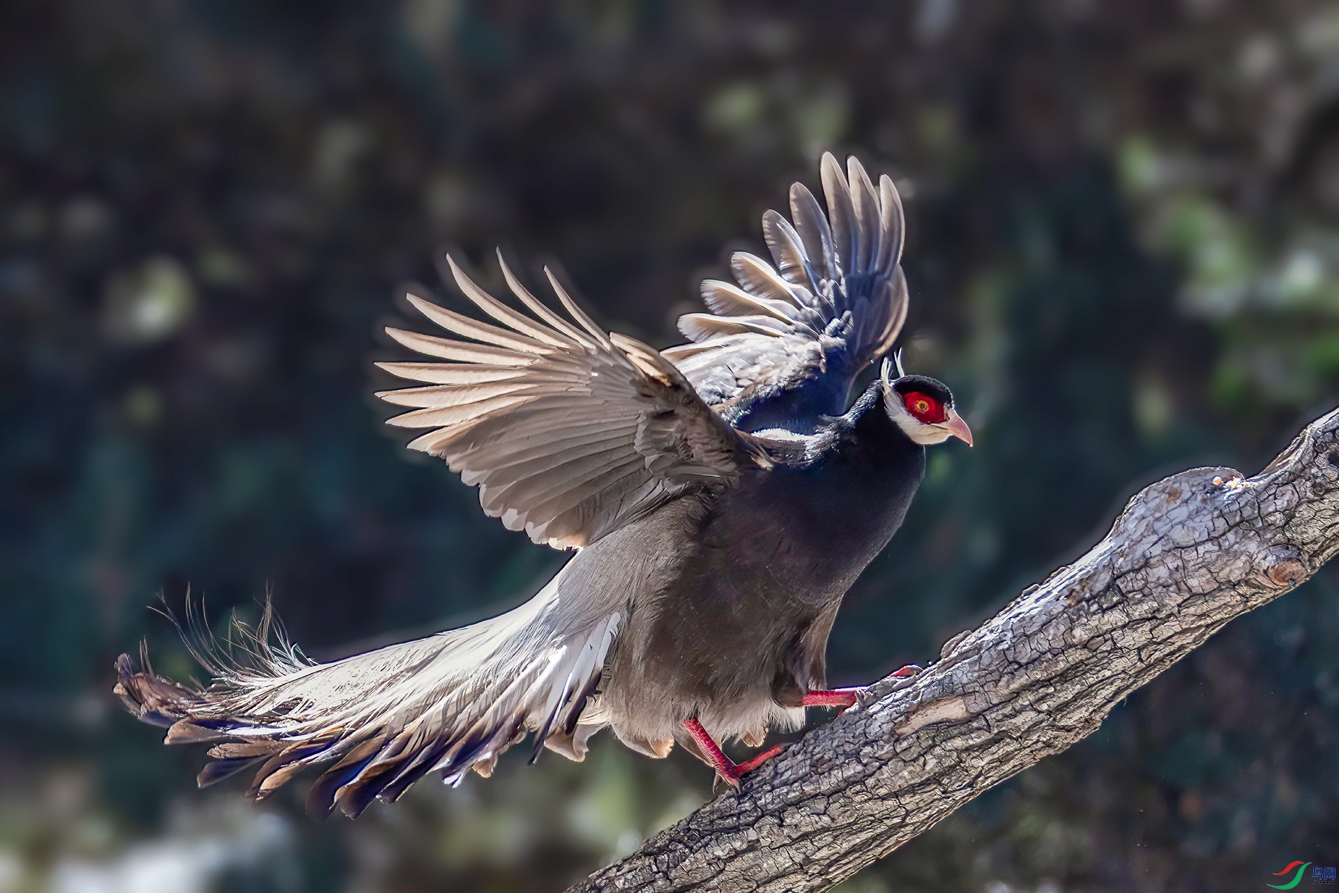 _07A4974 ����-Sh----1 .jpg