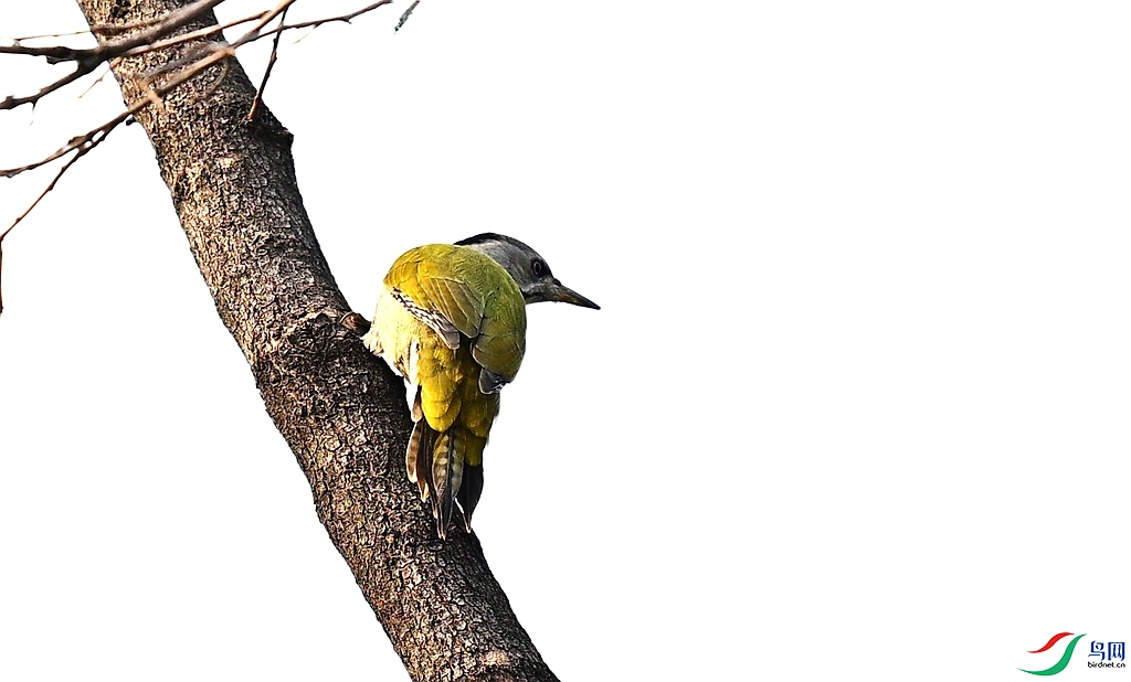 DSC_0599.JPG