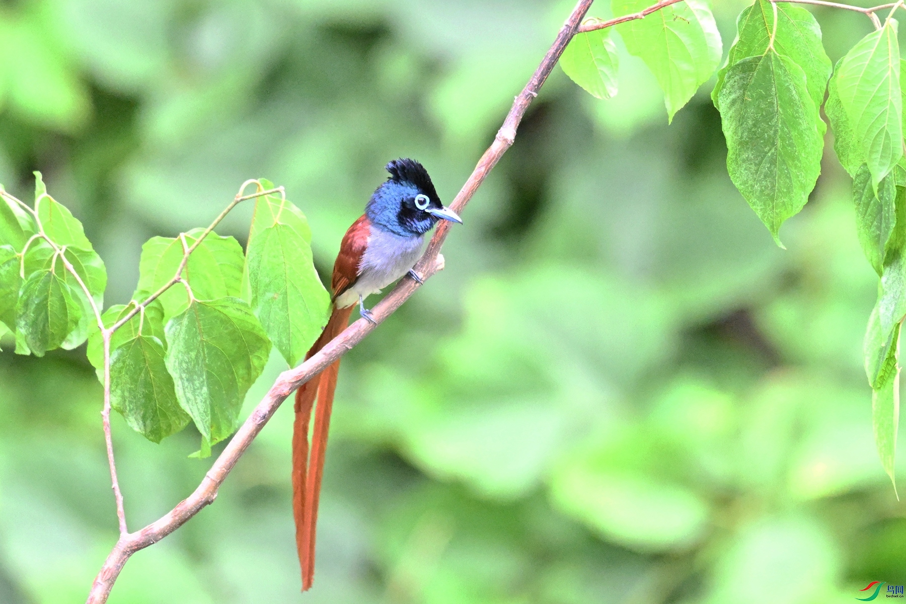 DSC_7388.JPG