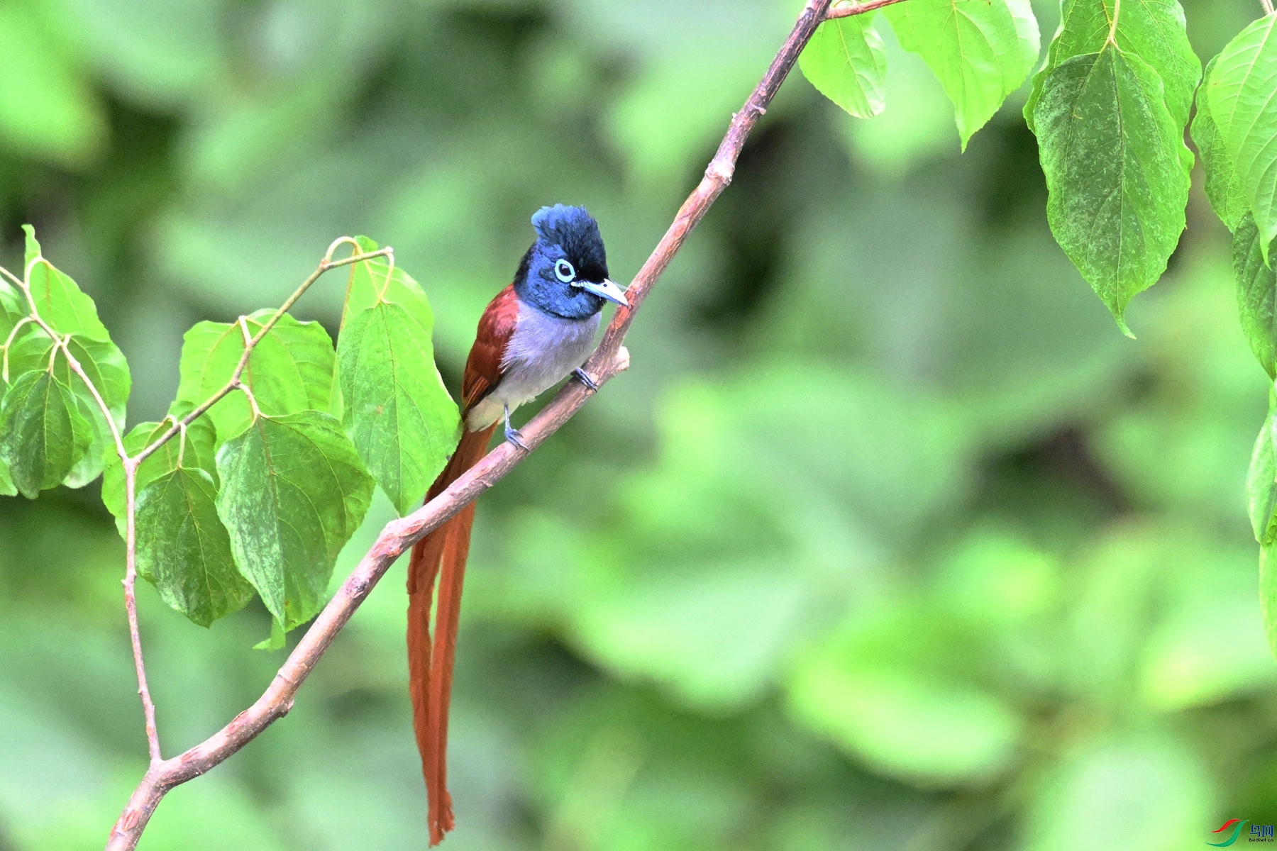 DSC_7410.JPG