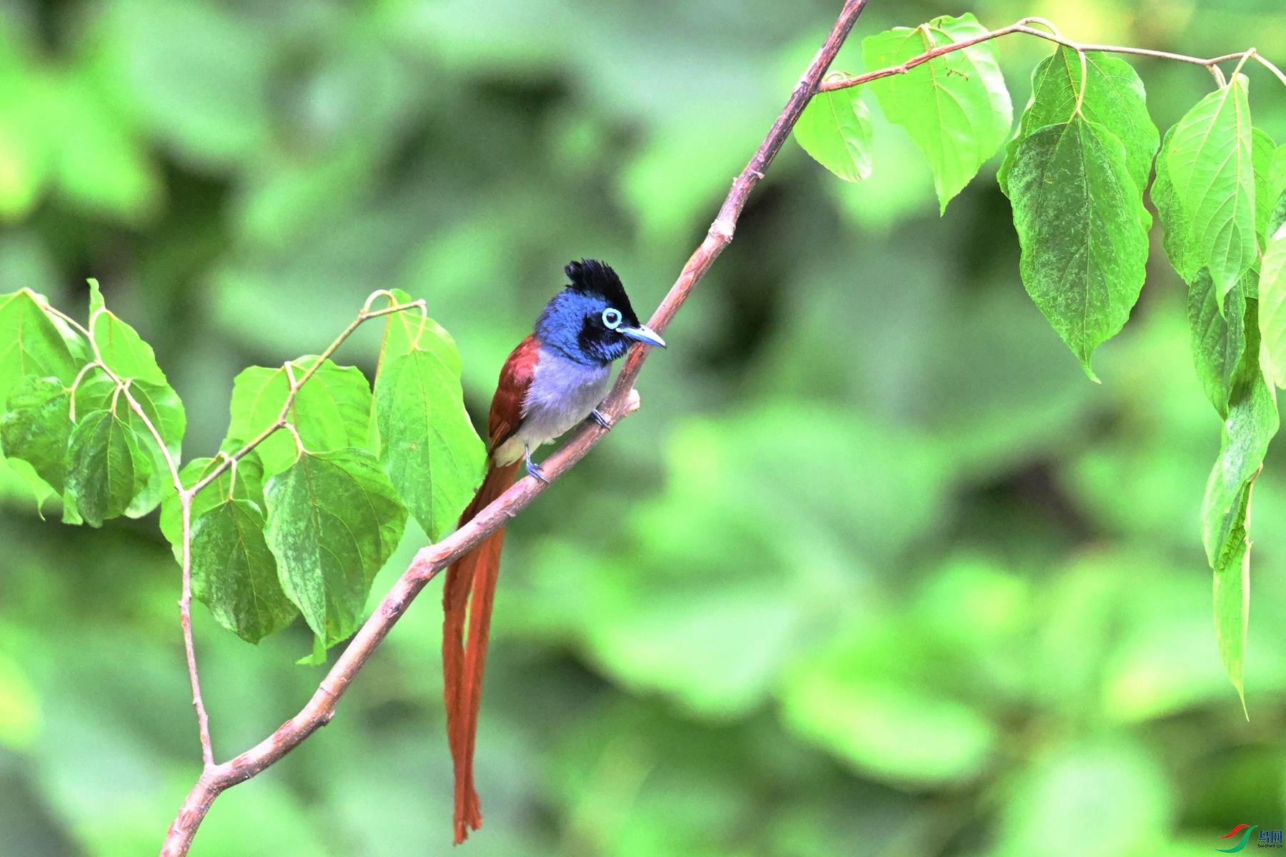 DSC_7400.JPG