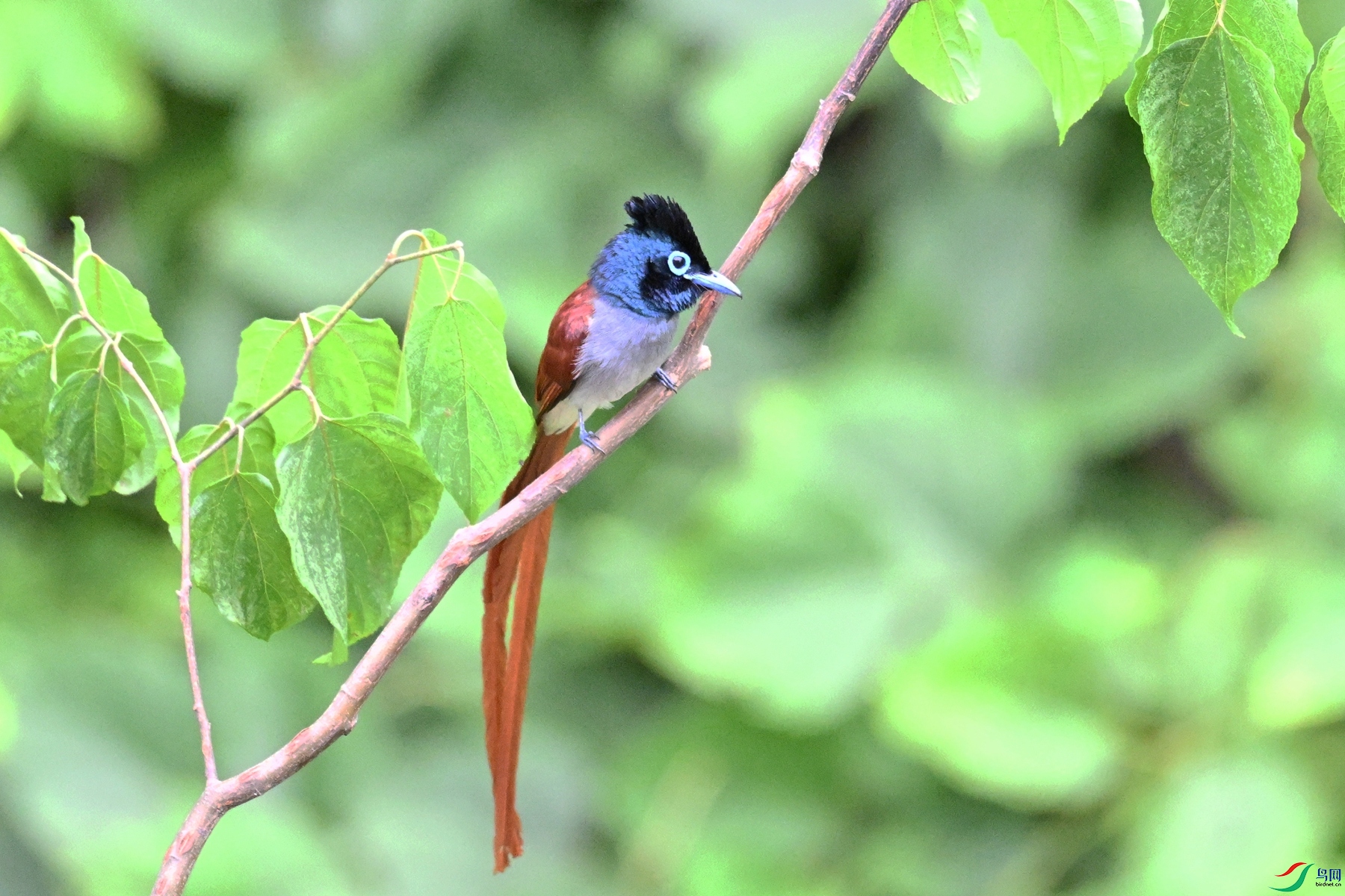 DSC_7401.JPG