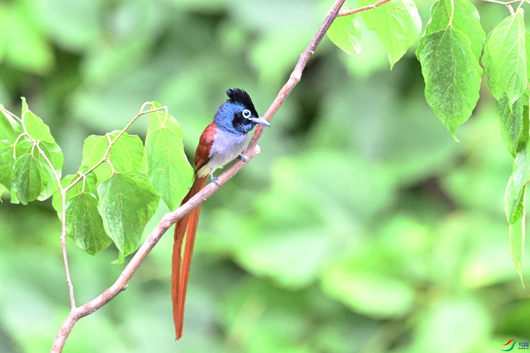 DSC_7391.JPG