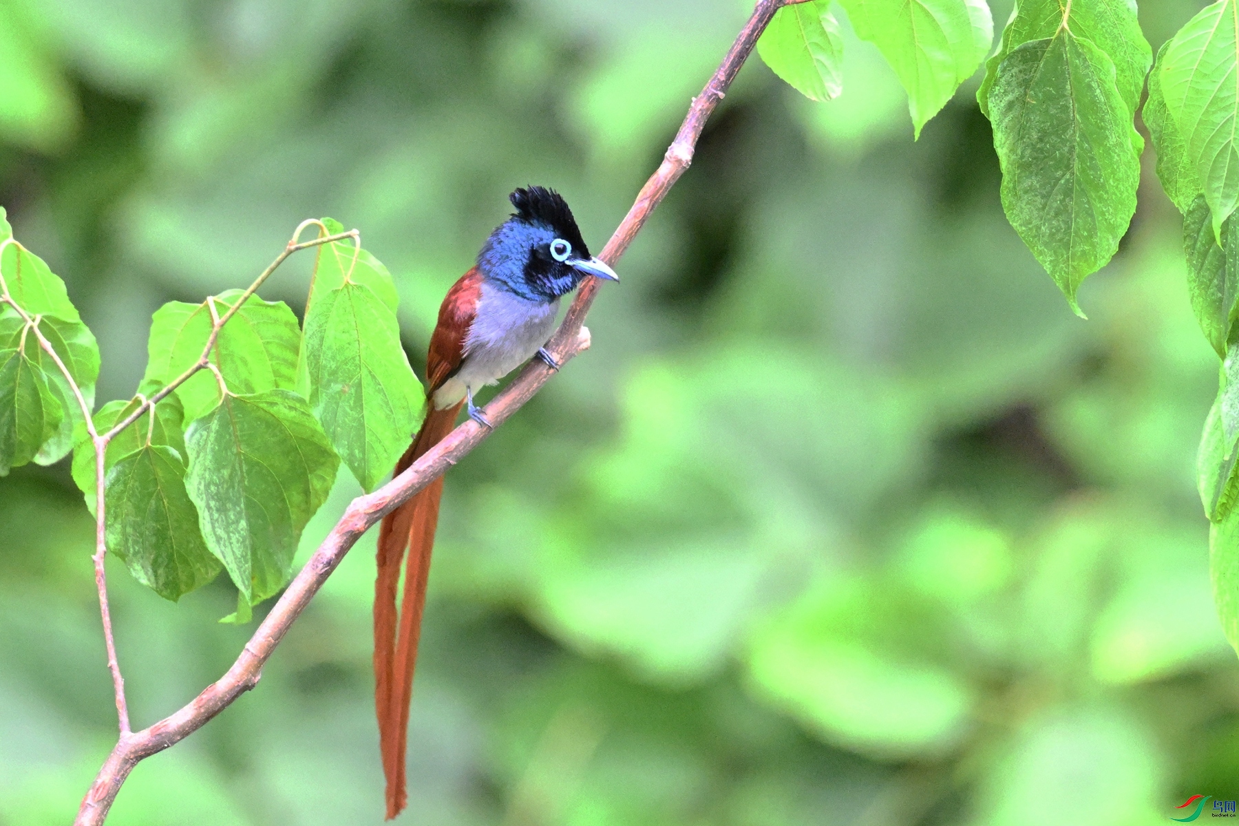 DSC_7403.JPG