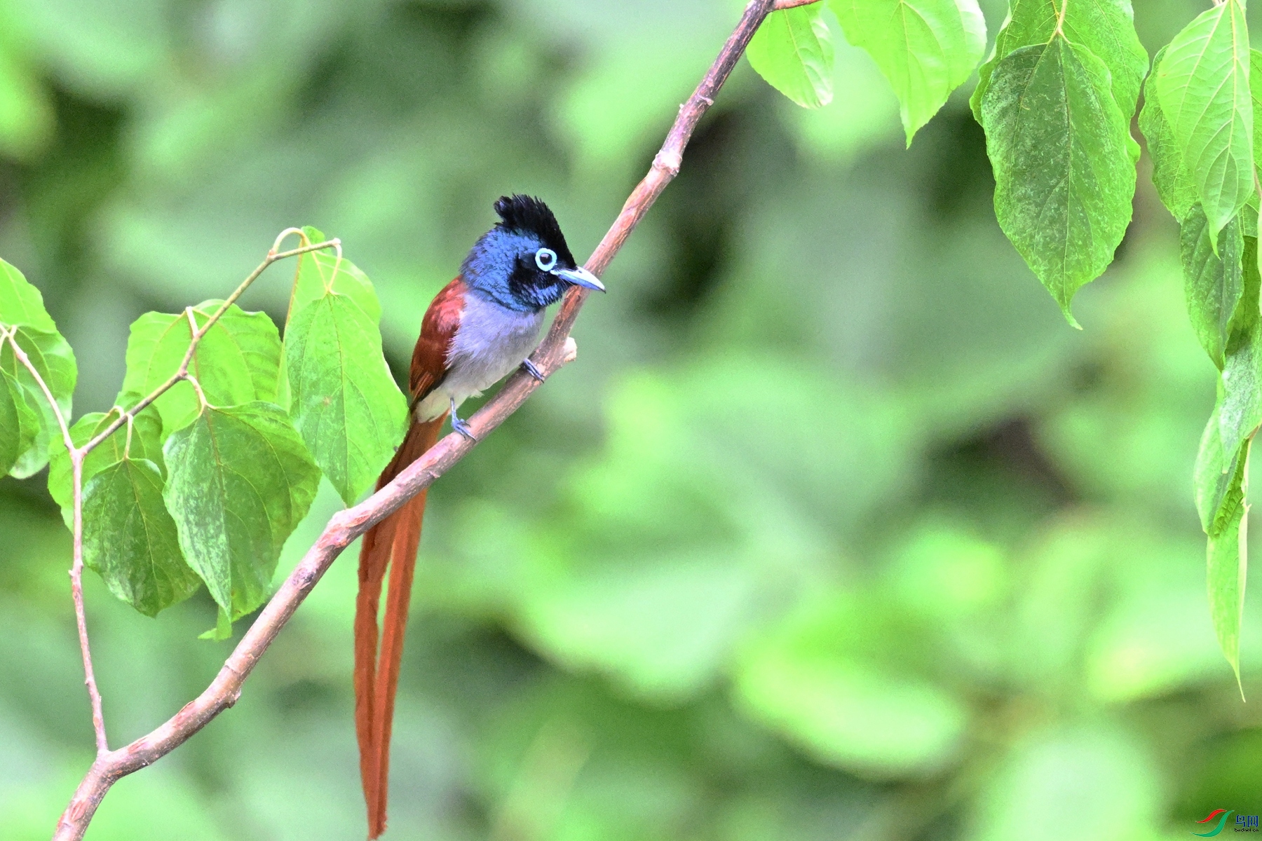 DSC_7404.JPG