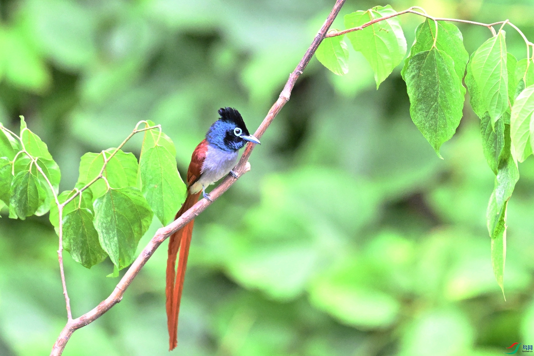 DSC_7393.JPG