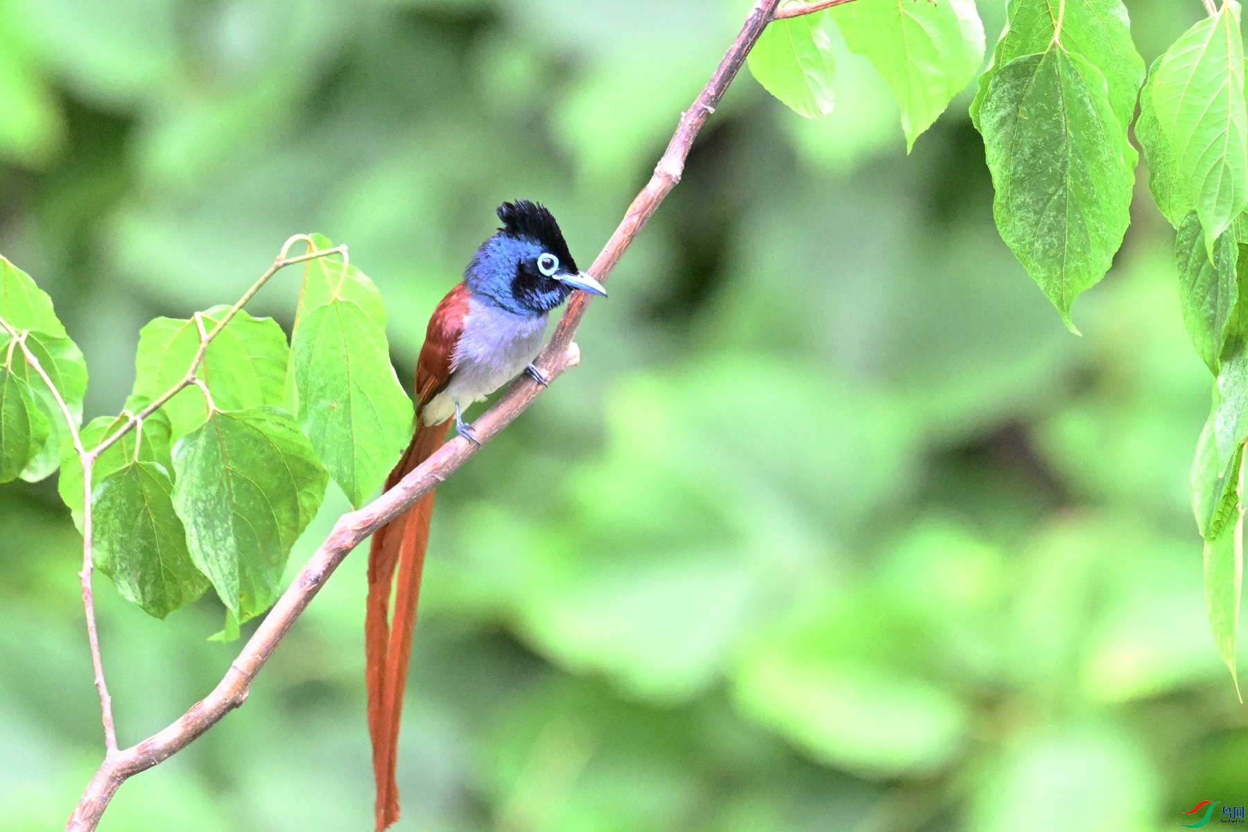 DSC_7395.JPG