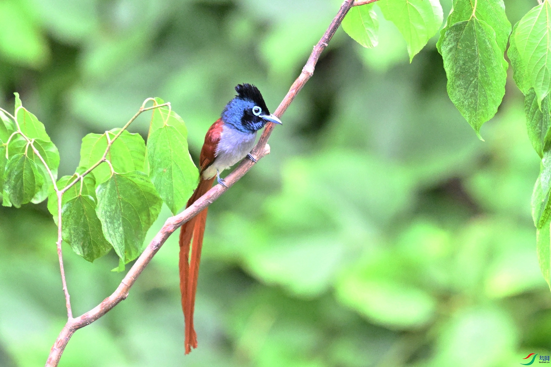DSC_7397.JPG