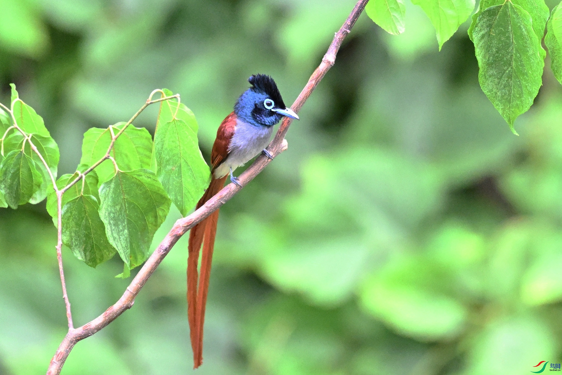 DSC_7408.JPG