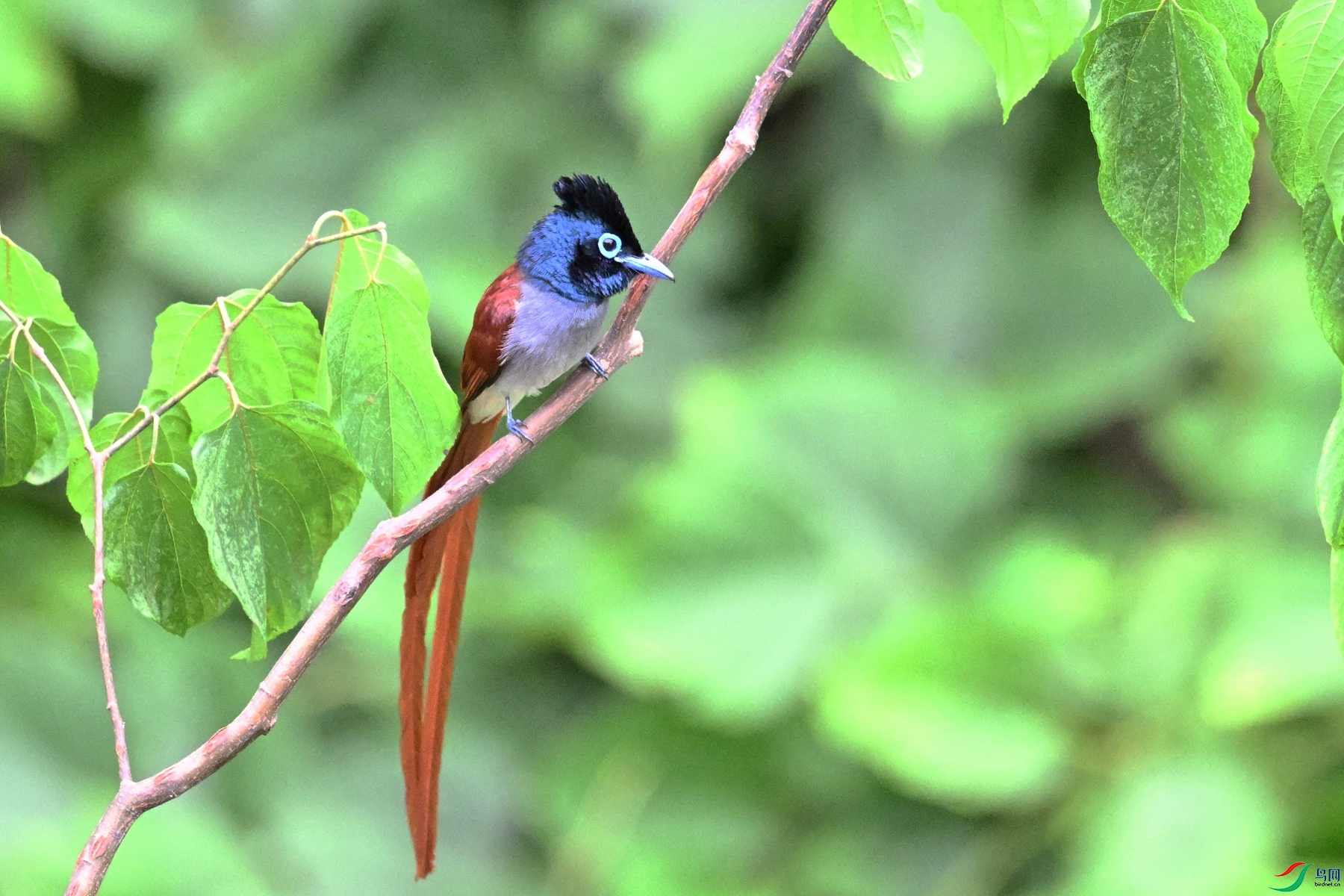 DSC_7405.JPG