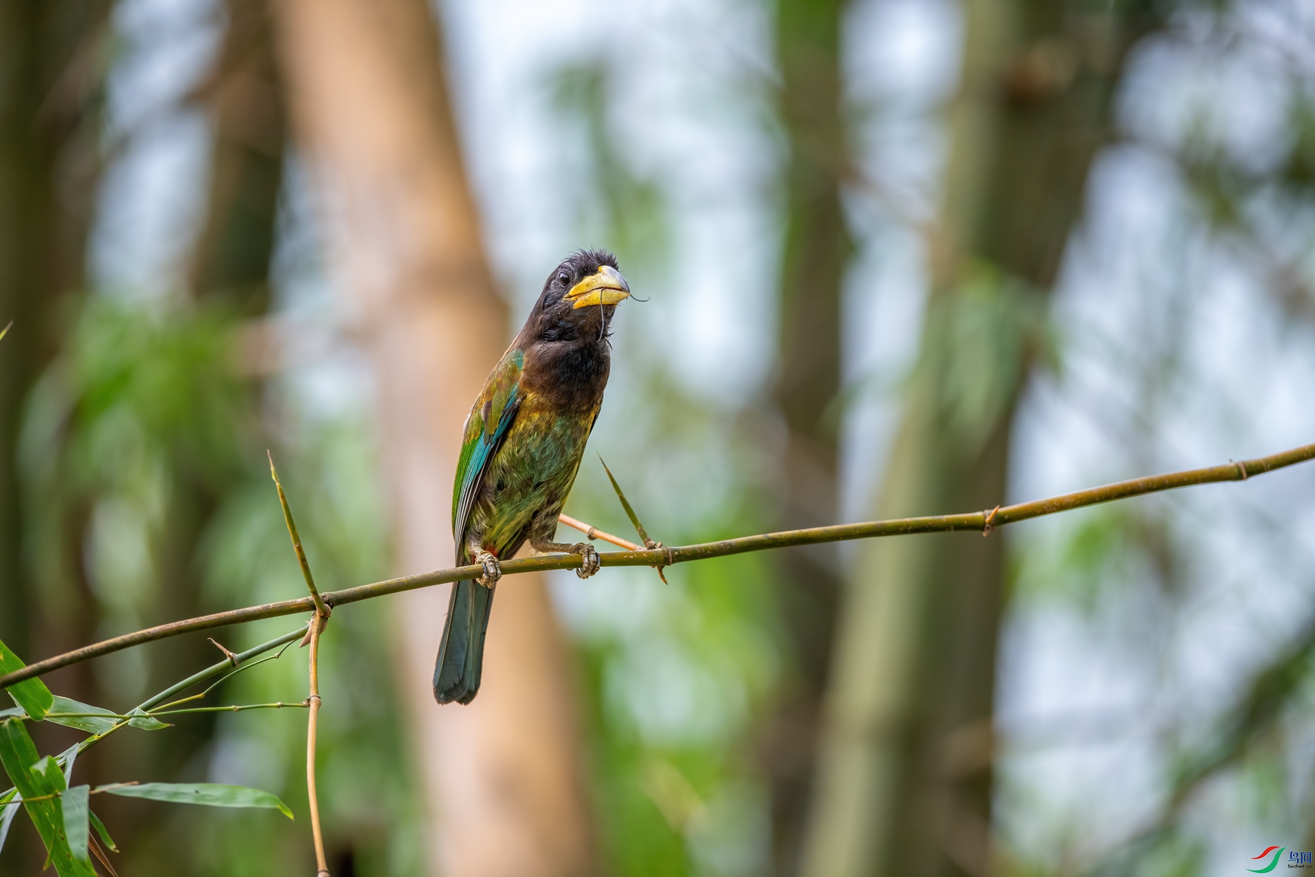 DSC_9835-1.jpg