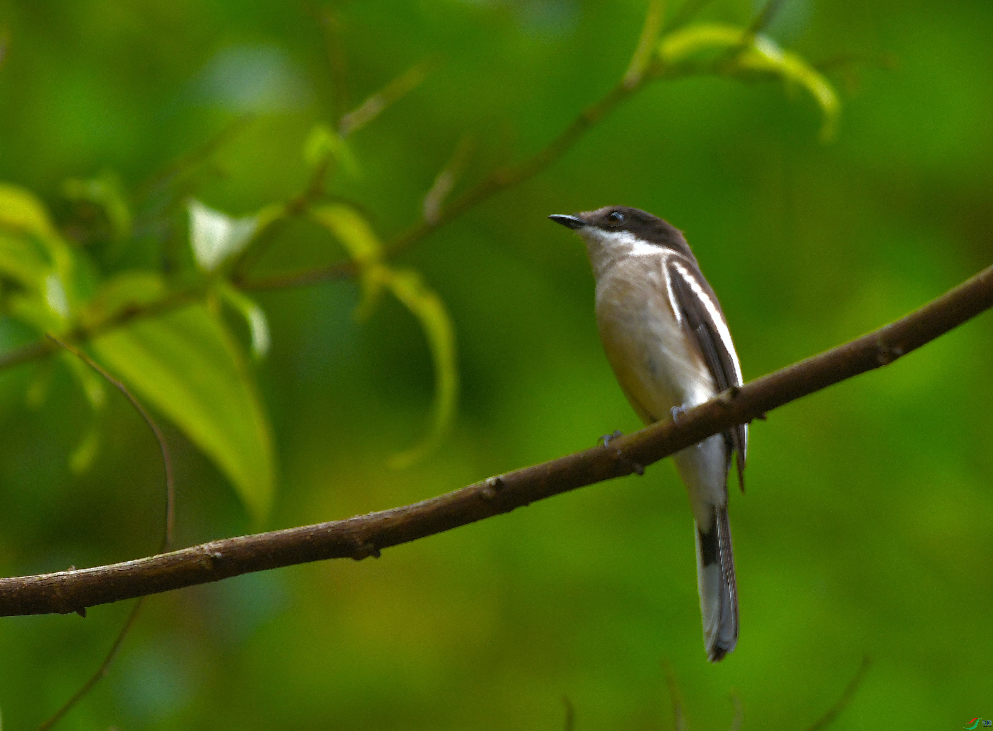 DSC_1654.JPG