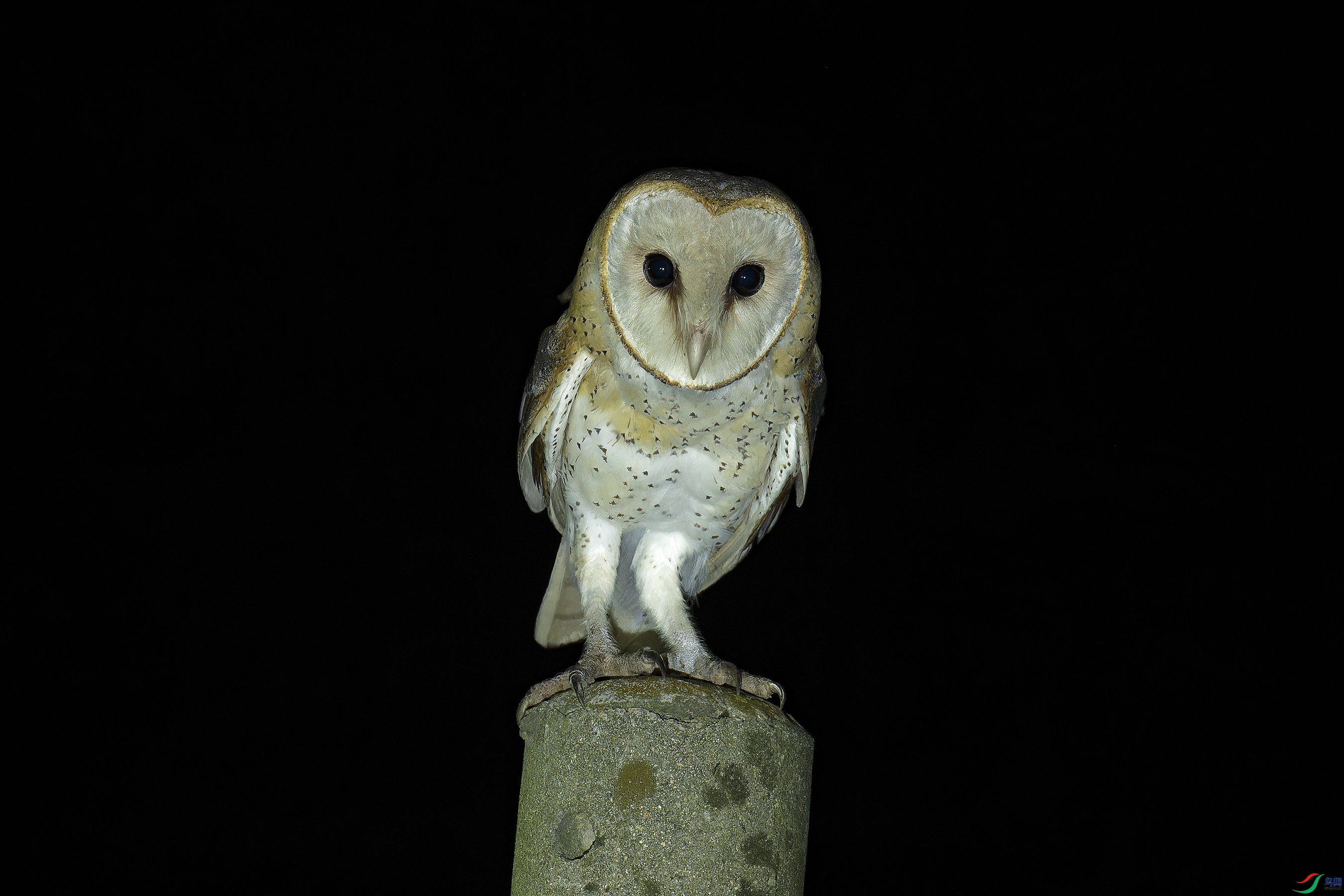 _DSC9526_DxO.jpg