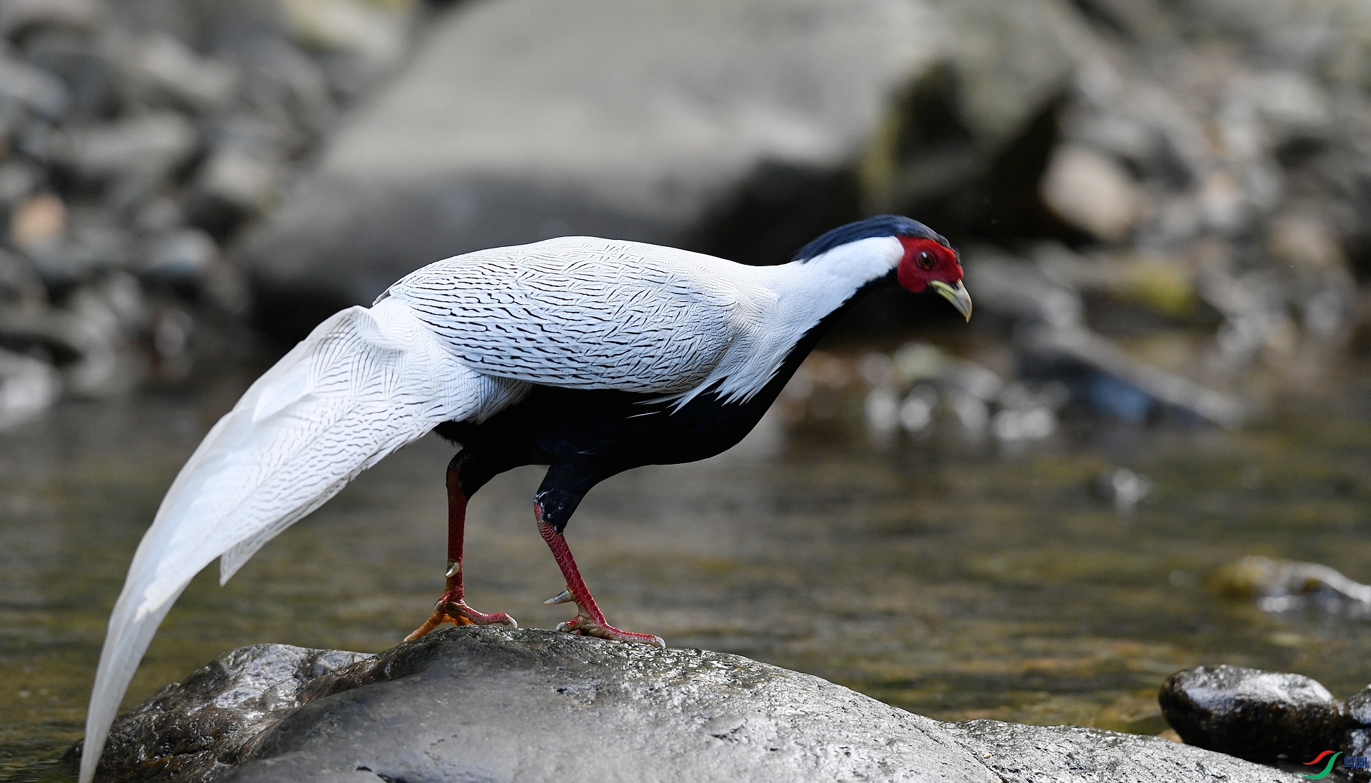 DSC_4069.jpg