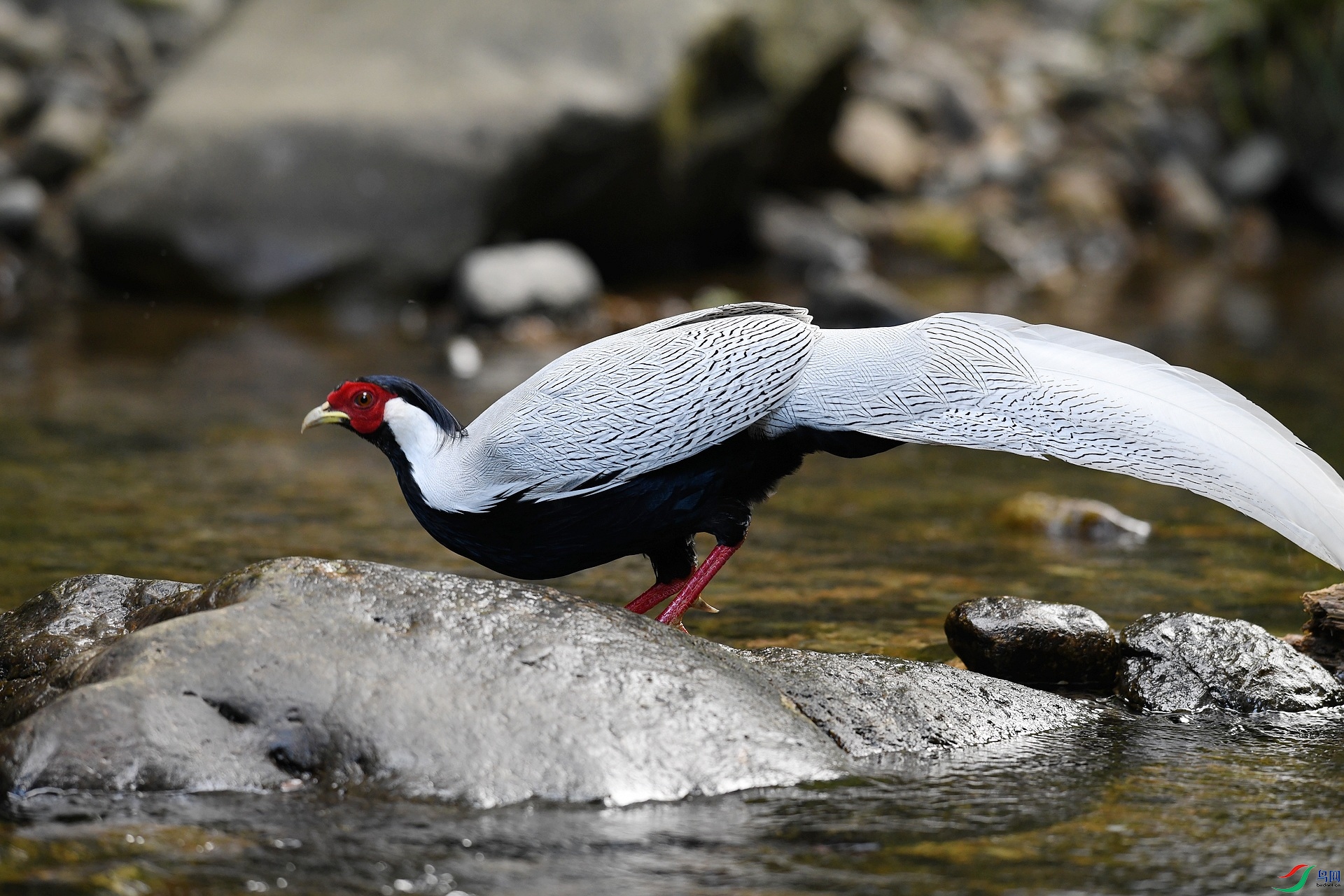 DSC_4045.jpg