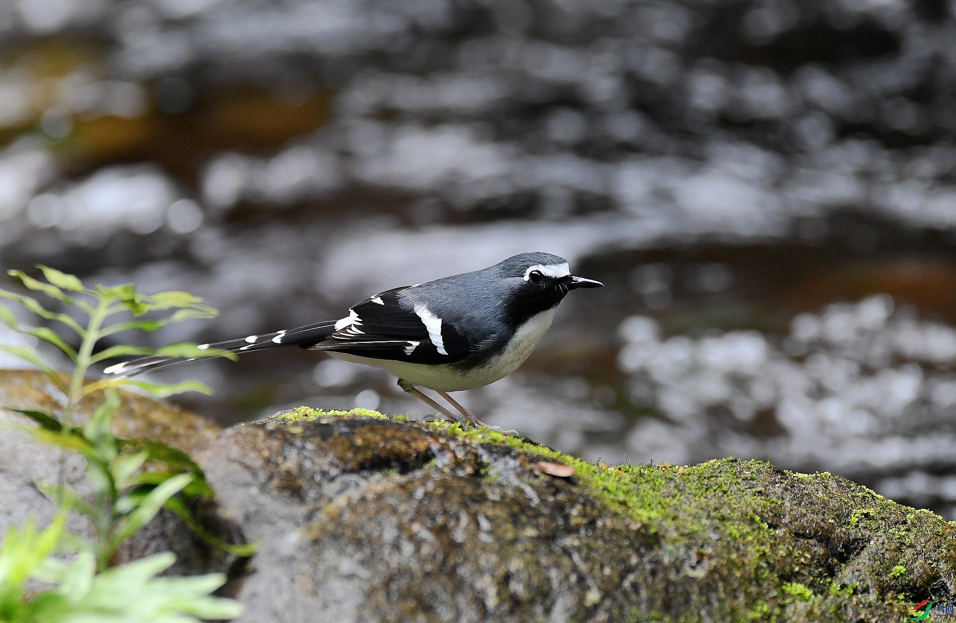 DSC_7728.jpg