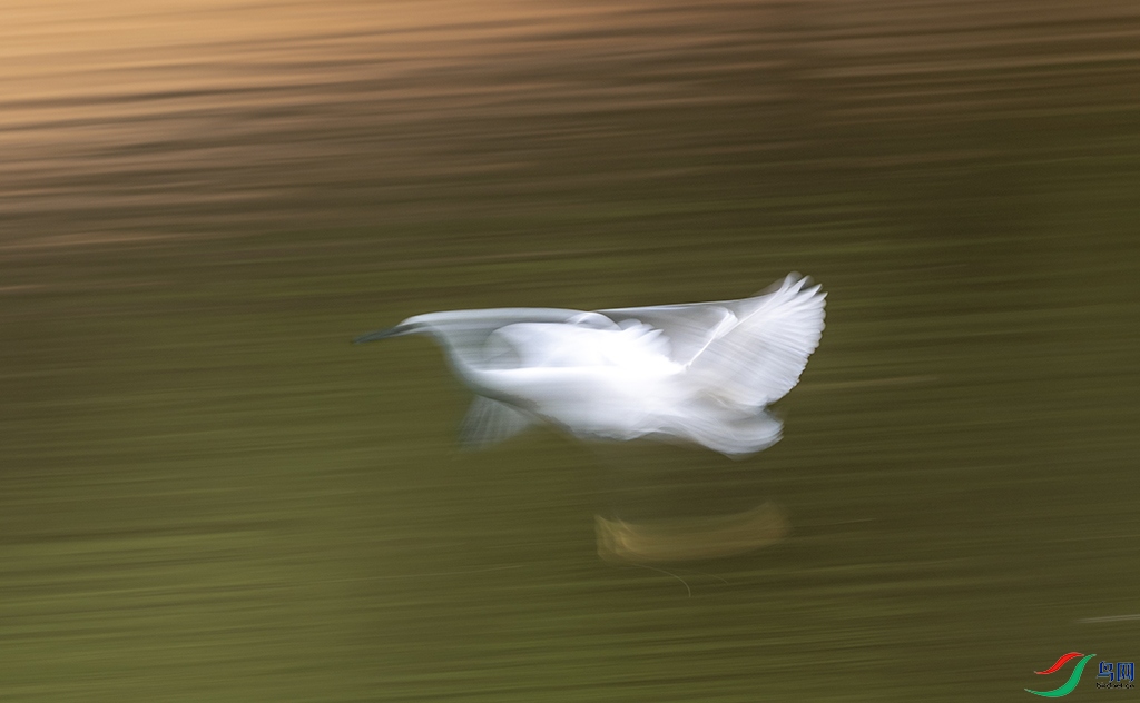 ΢��ͼƬ_20251104214258_148_2 ����.jpg