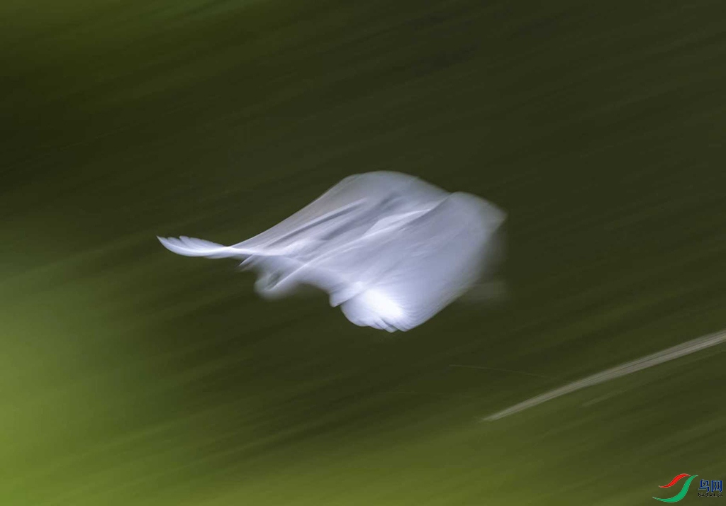 ΢��ͼƬ_20251104215559_155_2 ����.jpg