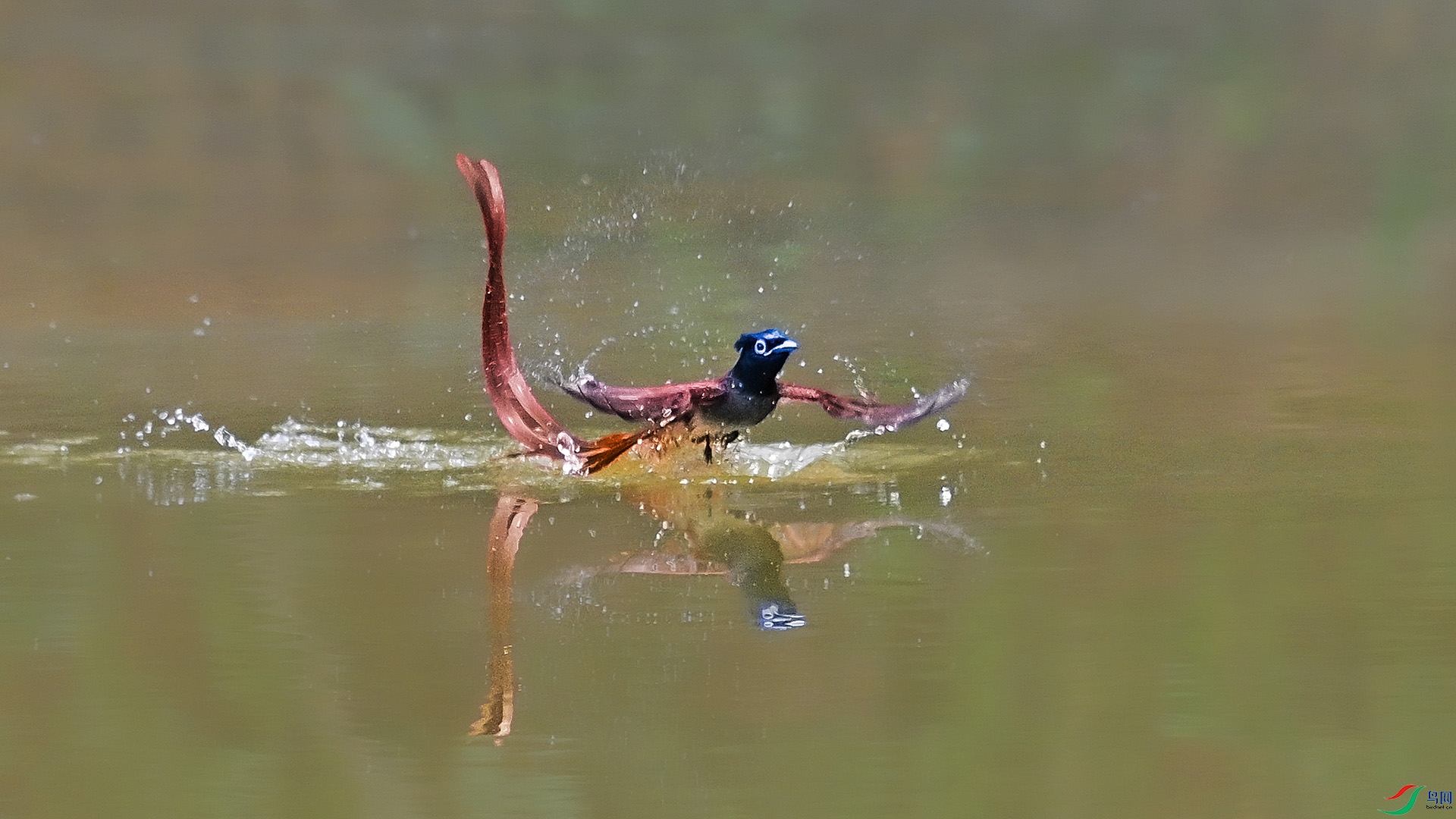 DSC_9764.jpg