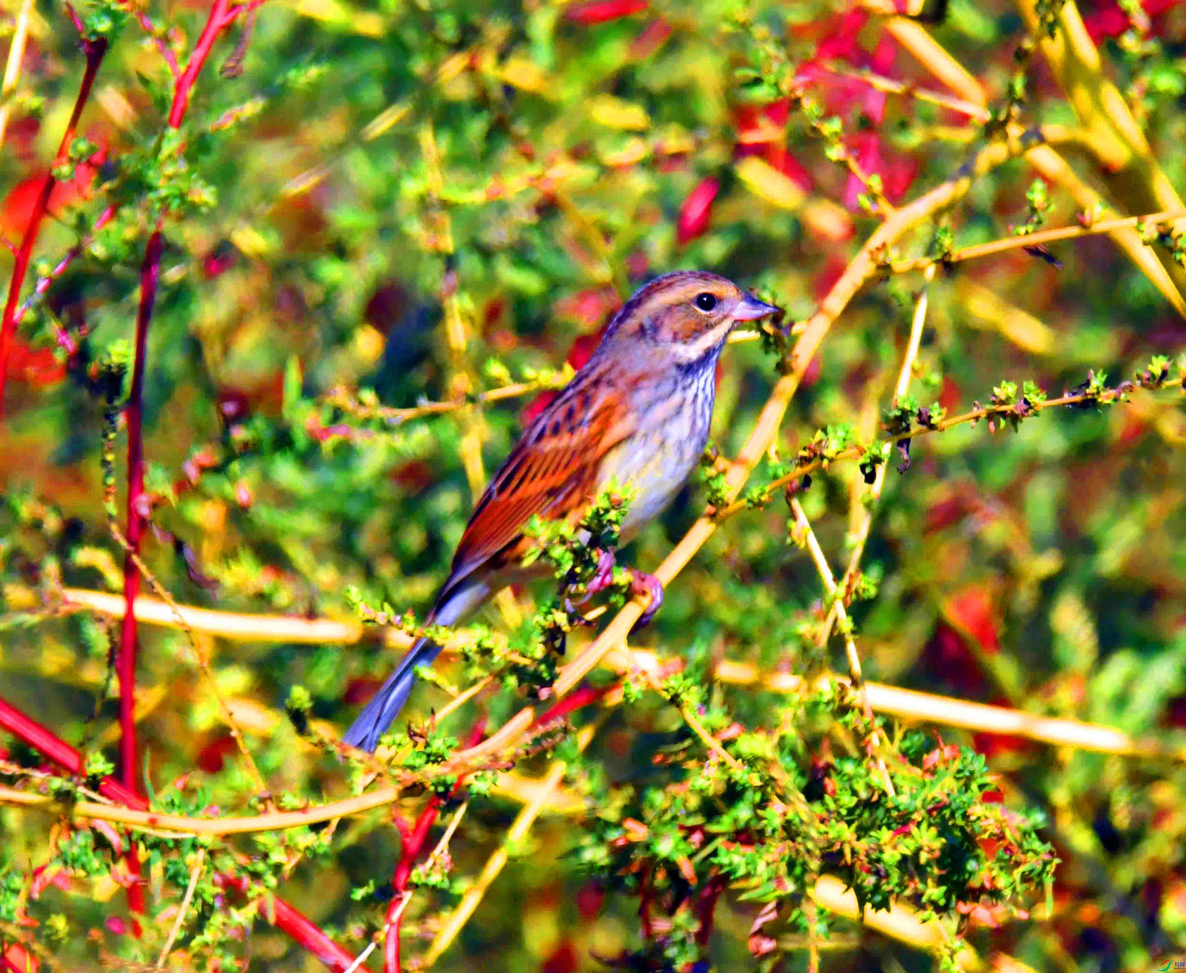 DSC_5873.JPG