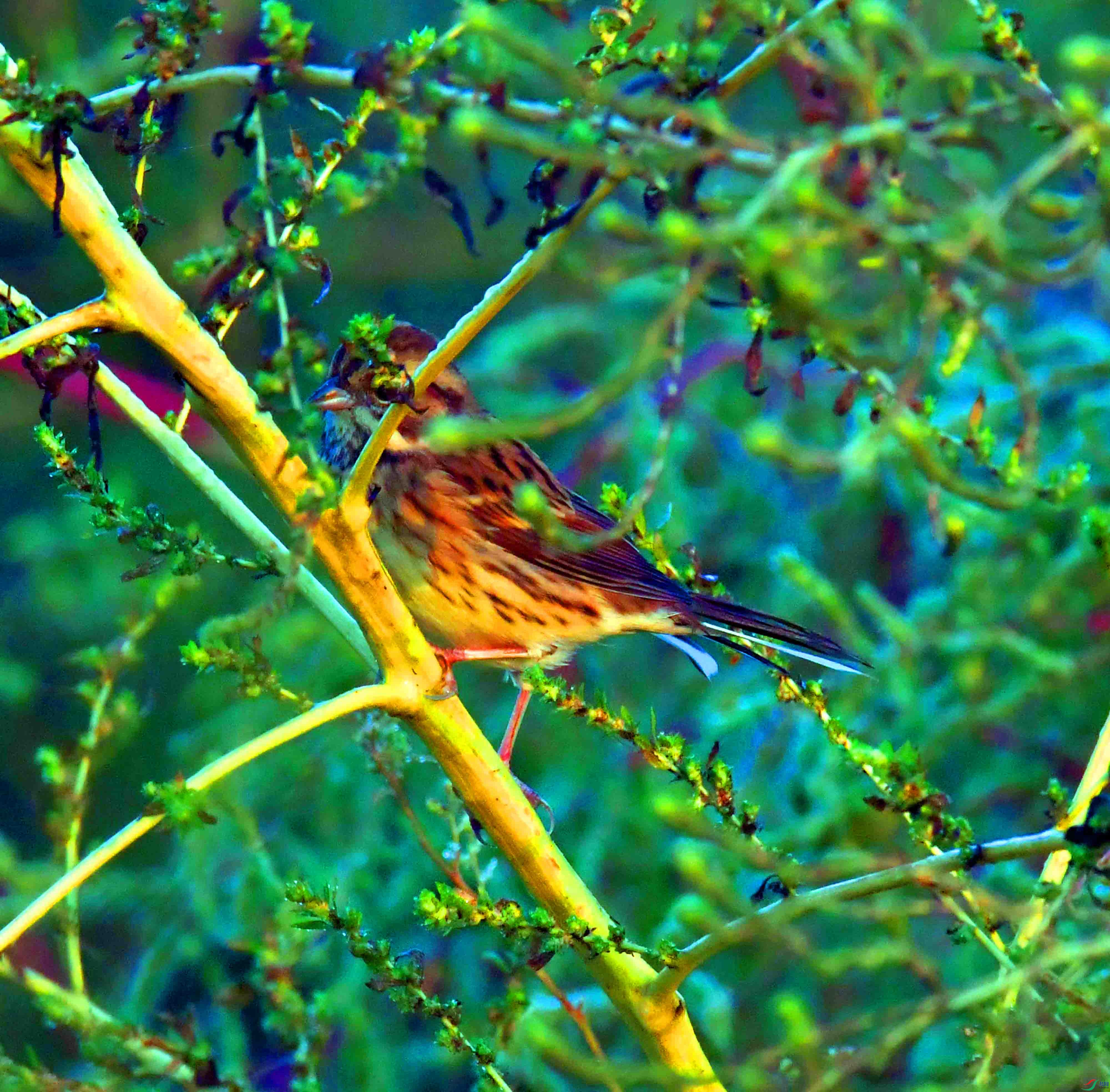 DSC_6001.JPG