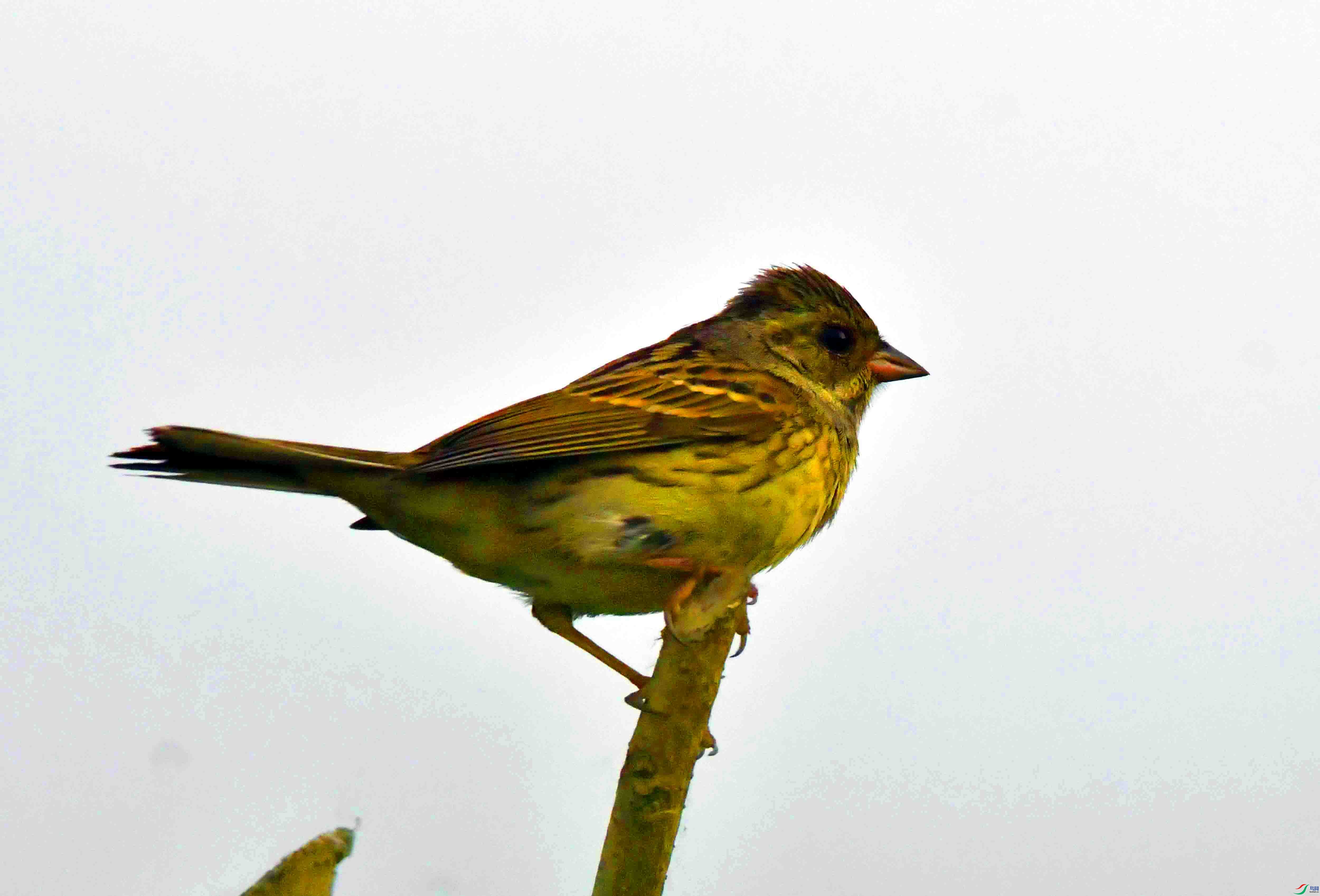 DSC_6215.JPG
