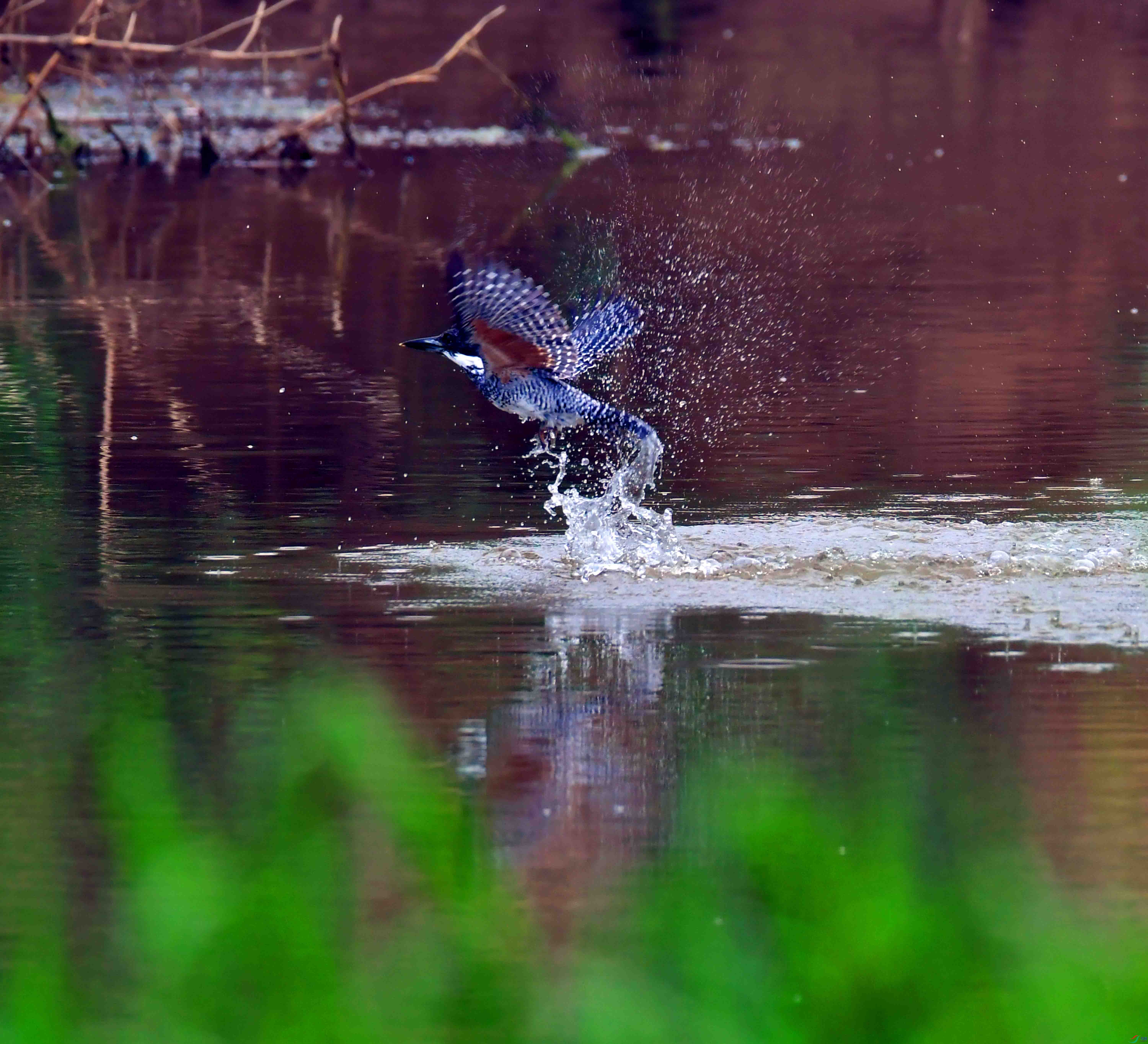 DSC_6953.JPG