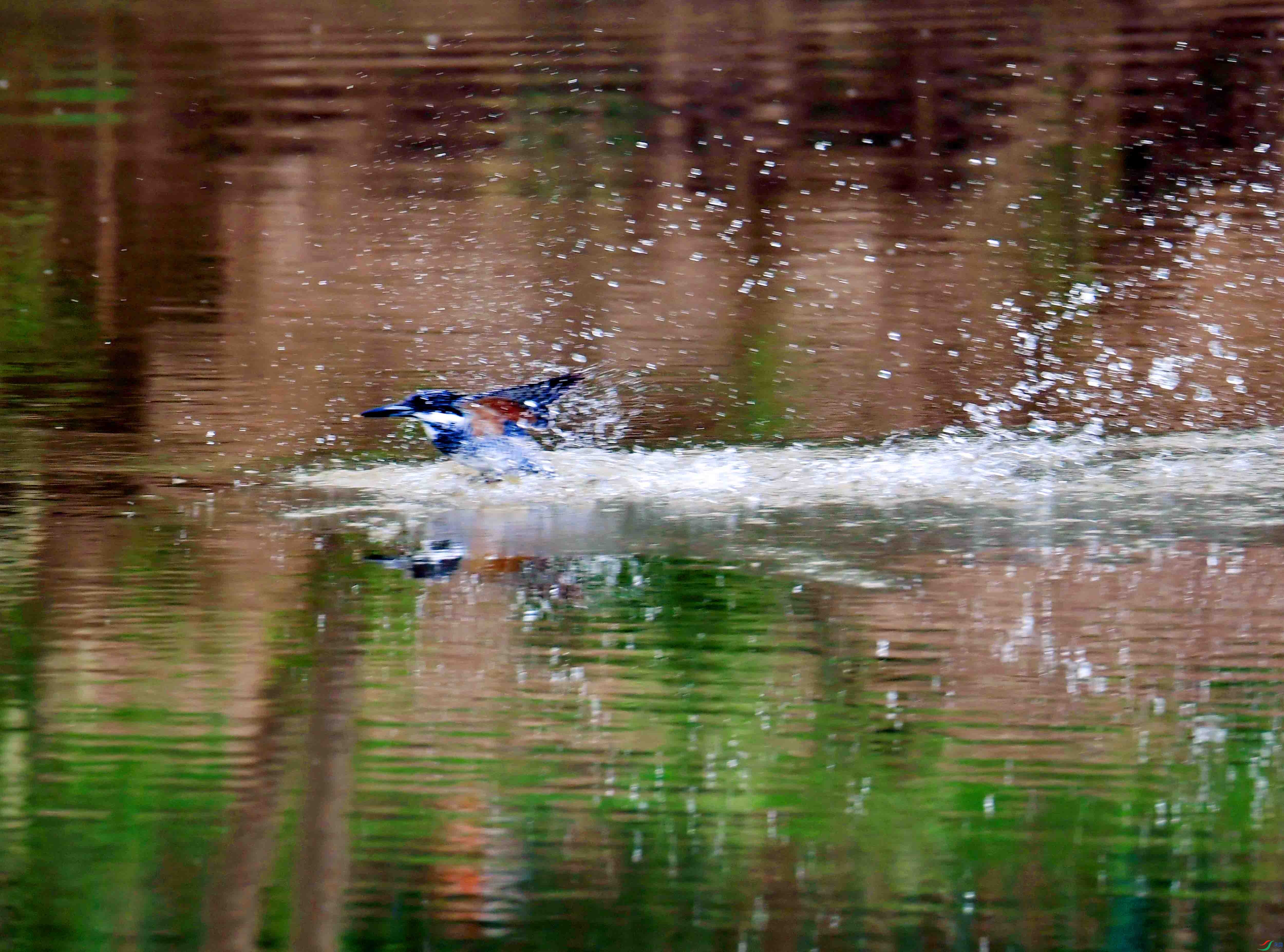 DSC_6984.JPG