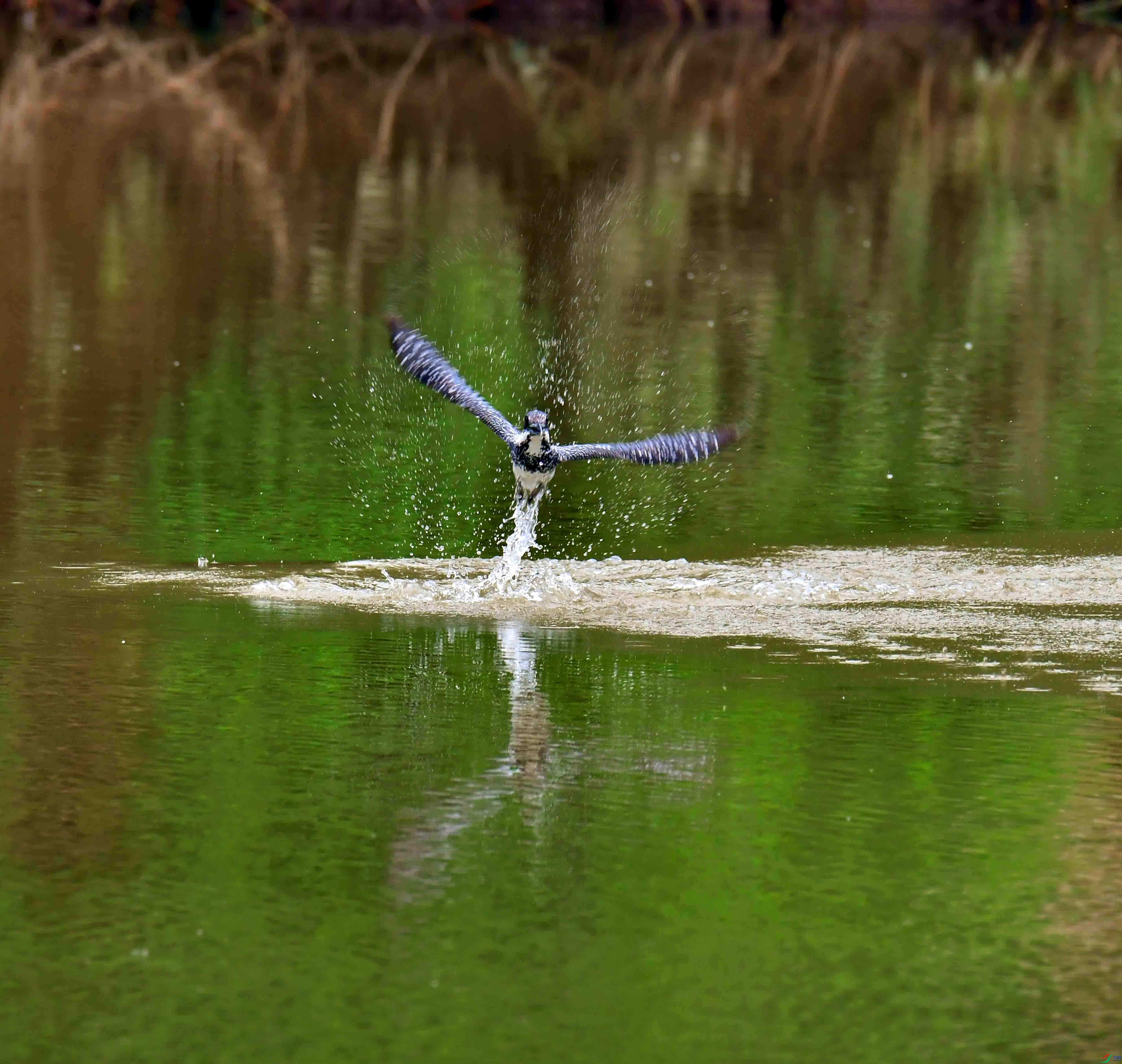 DSC_7054.JPG