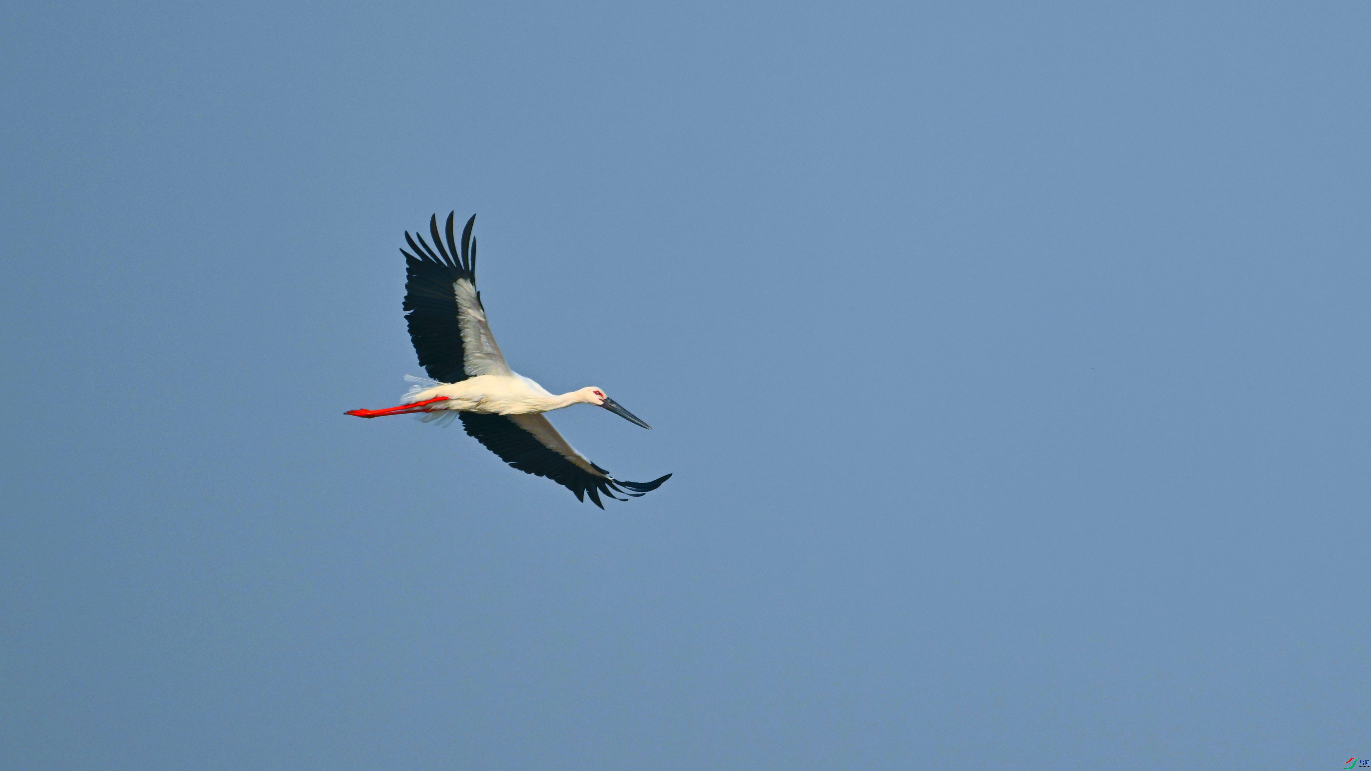 DSC_0041.JPG