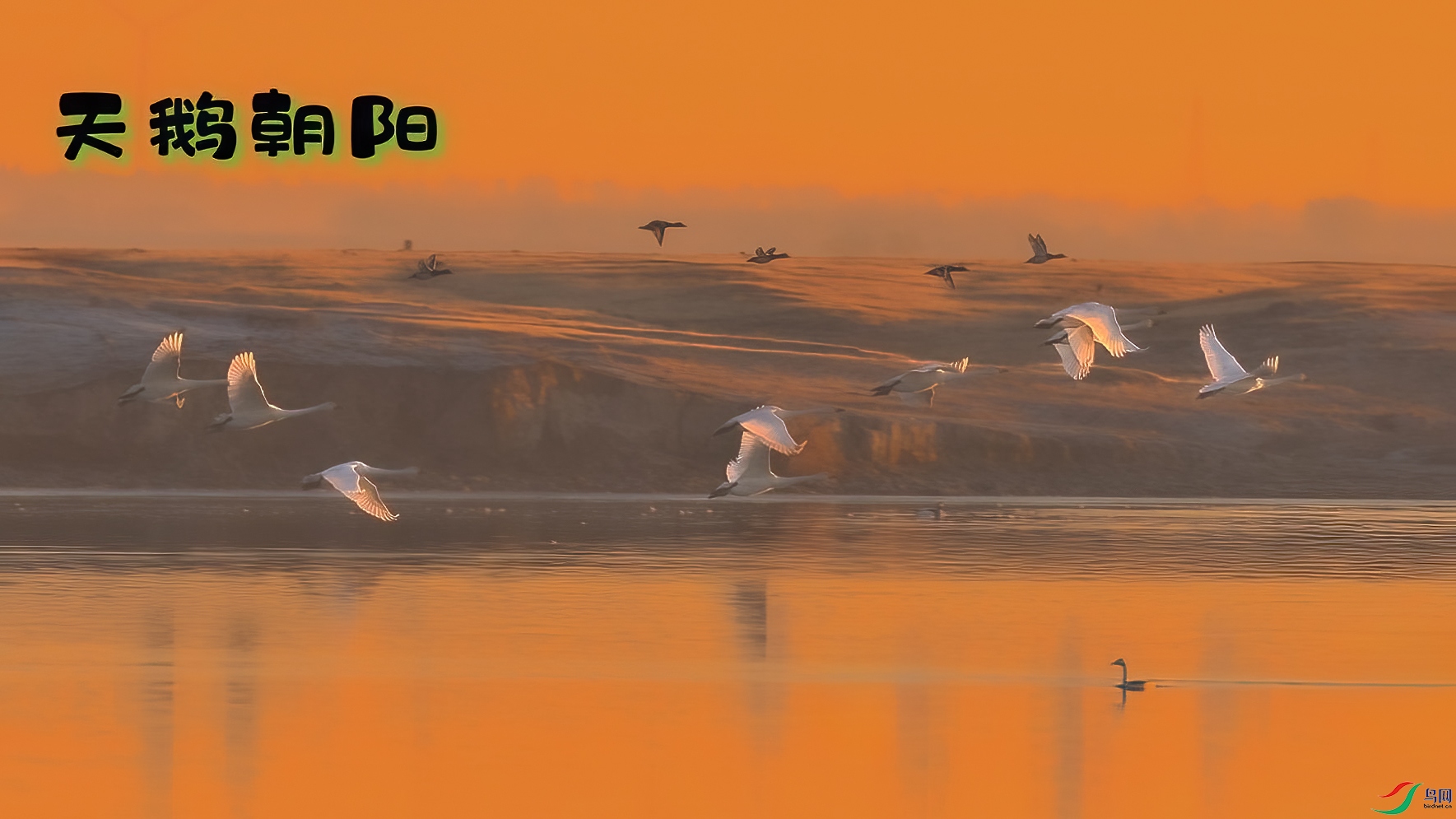 ��쳯��-���� ����.jpg