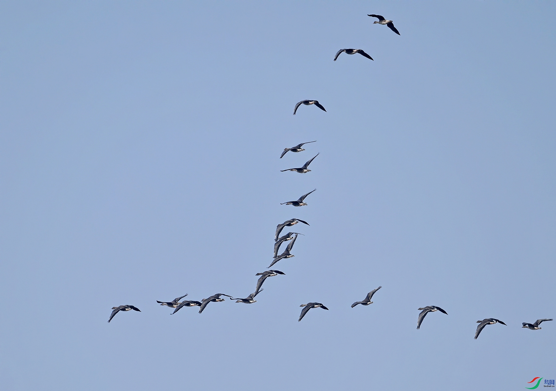 DSC_9855_conew1.jpg