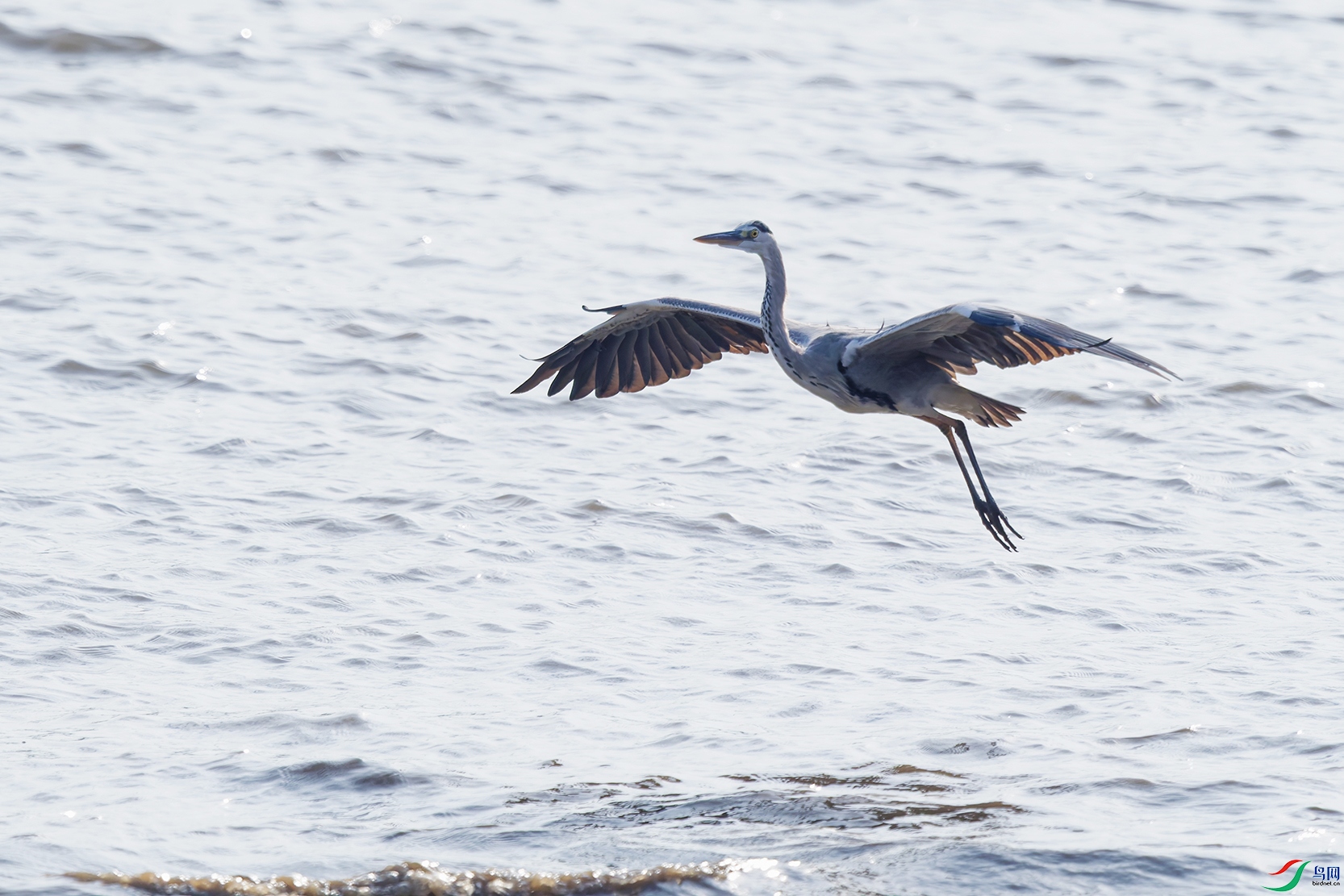 DSC_1110_DxO_DxOa.jpg