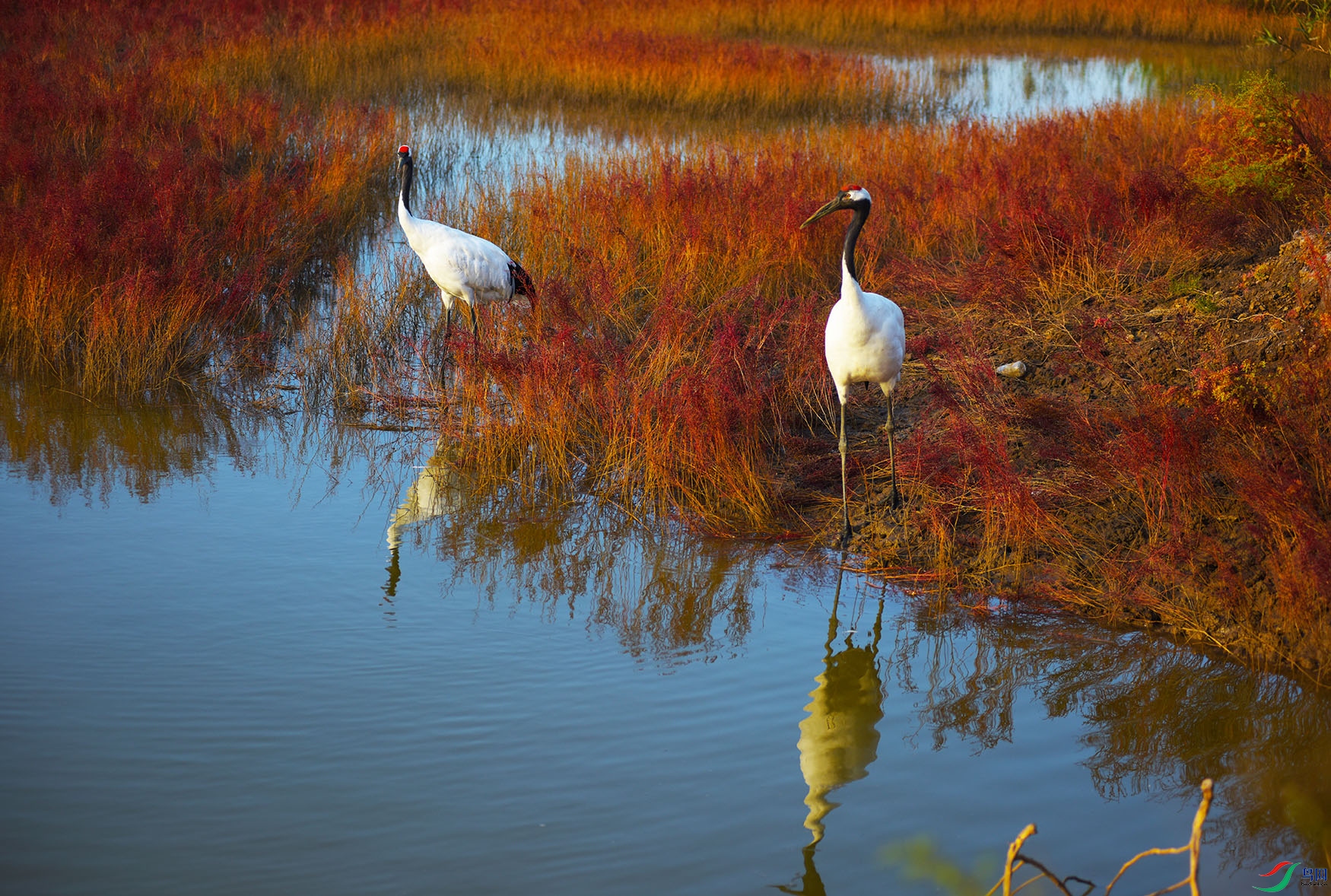 DSC_7076-1.jpg
