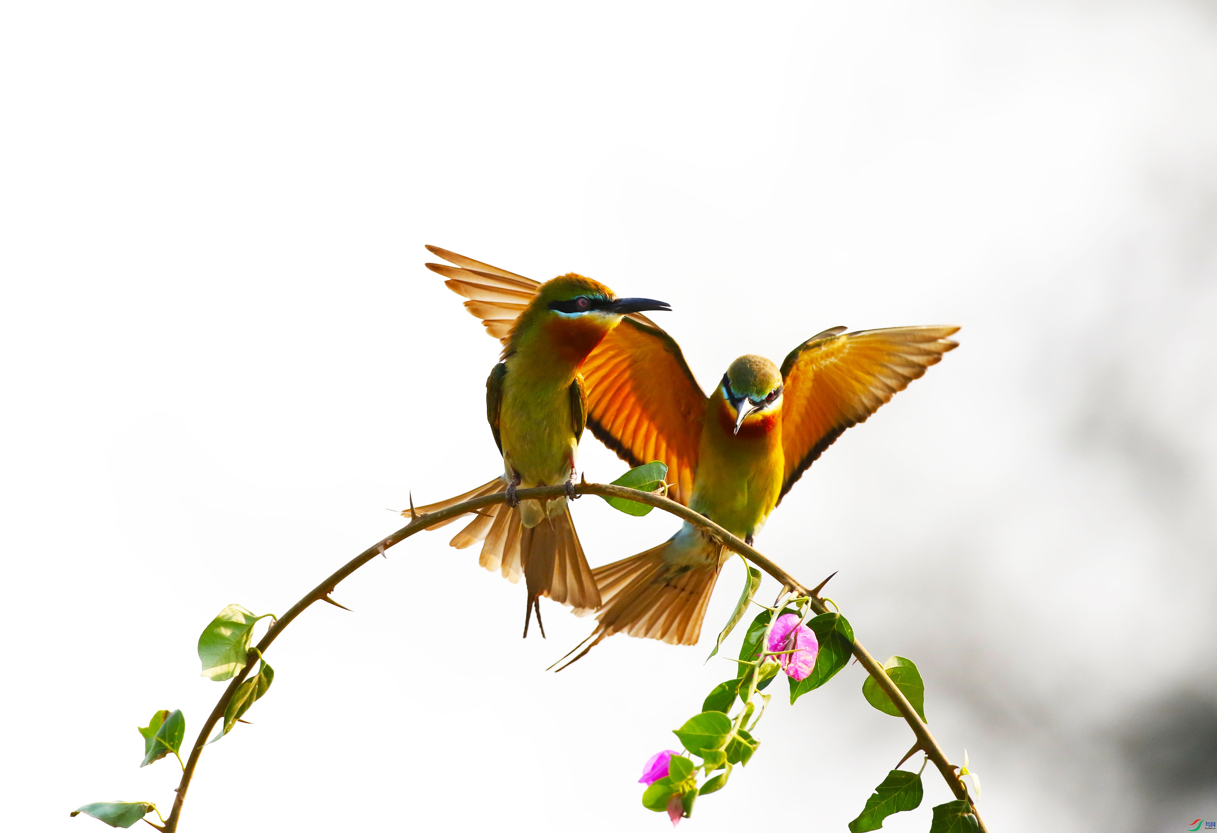849A7465-1.jpg