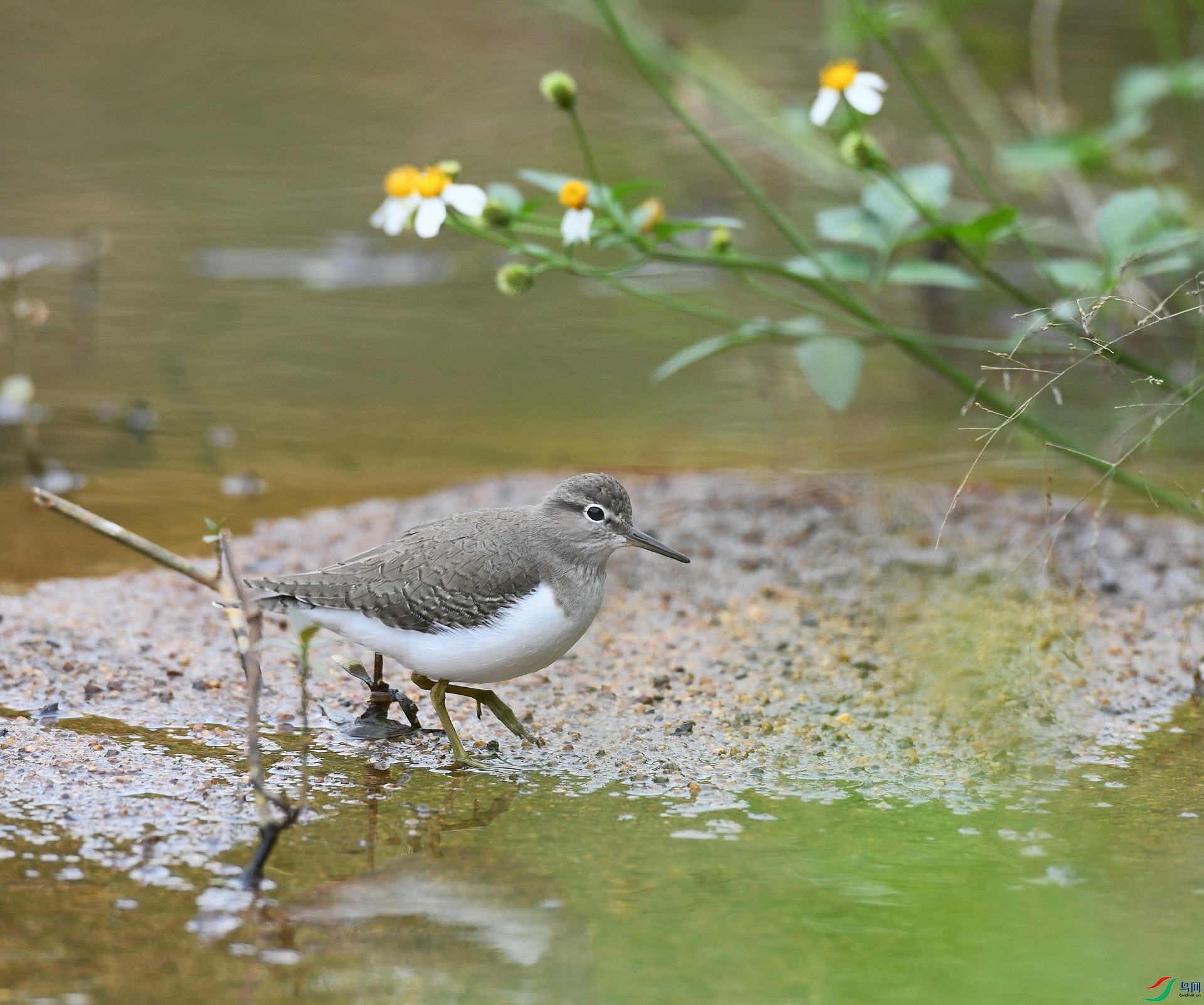 DSC_7736.jpg