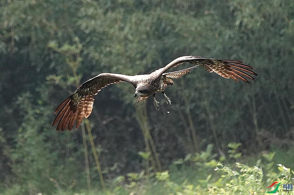 DSC08760 - ����_����_����.jpg