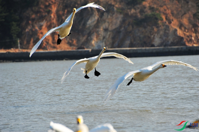 DSC_5396.JPG