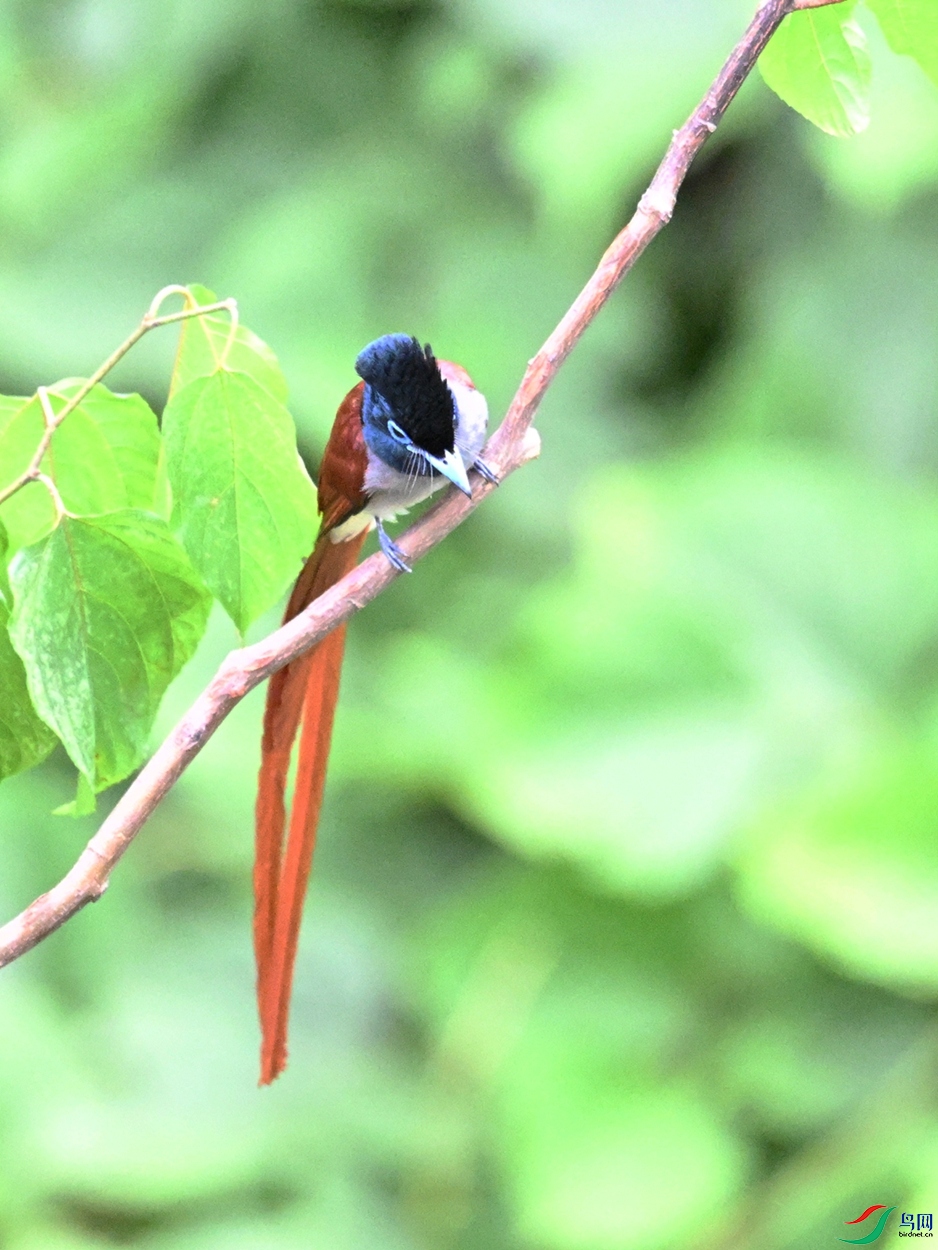 DSC_7436.JPG