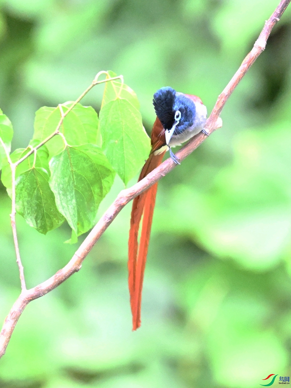 DSC_7427.JPG