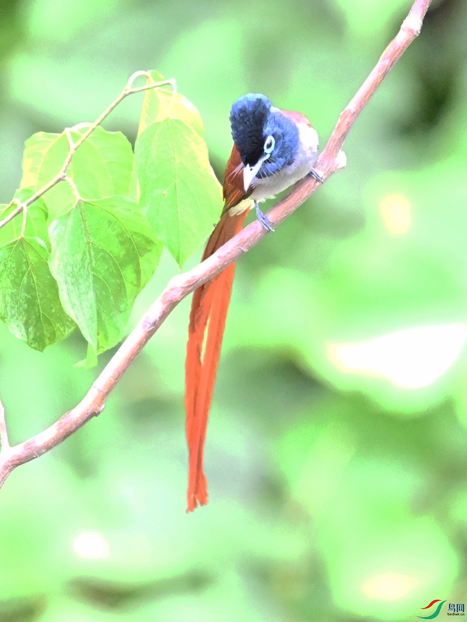 DSC_7418.JPG