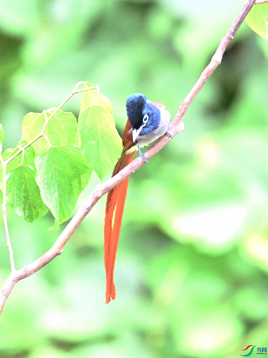 DSC_7419.JPG