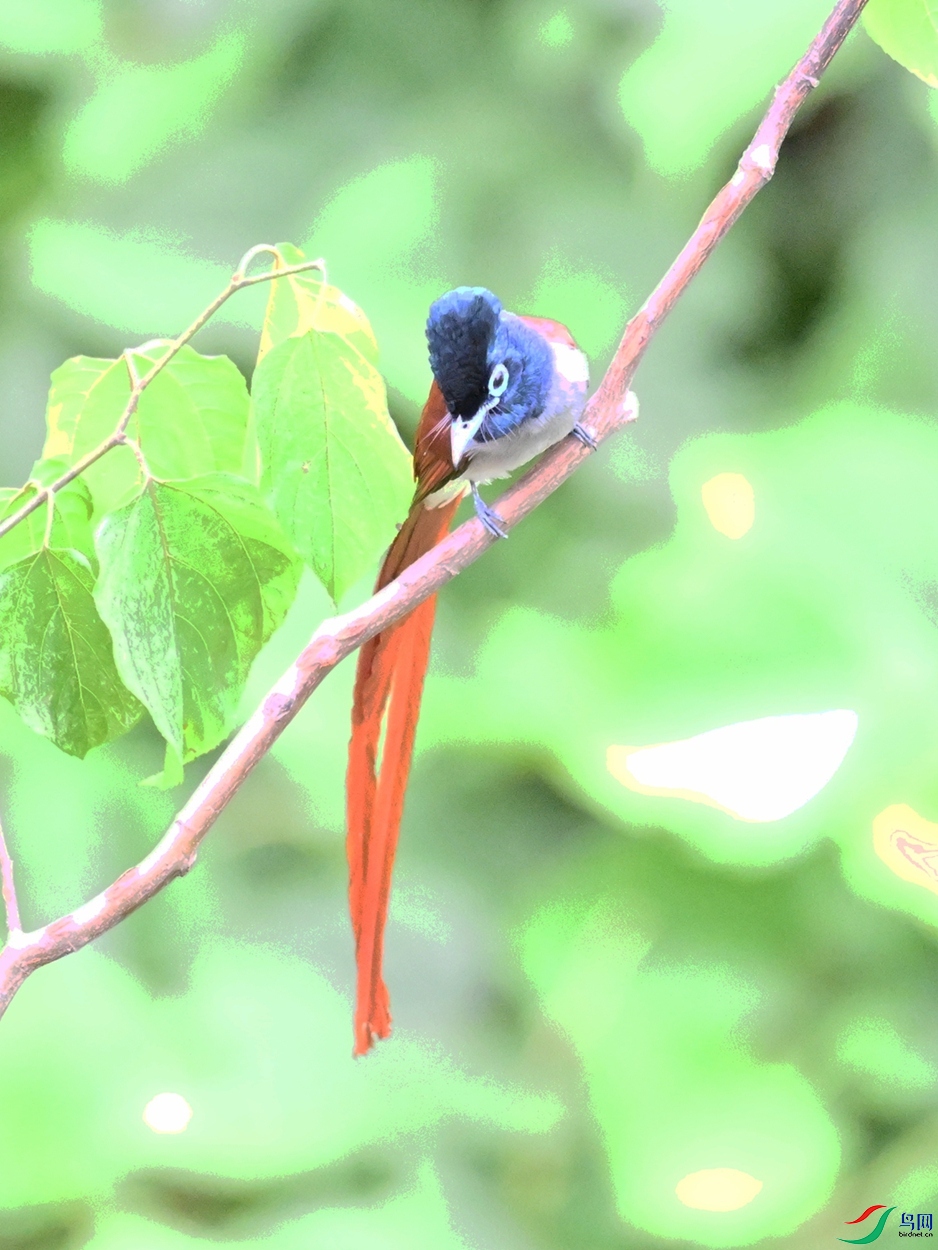 DSC_7420.JPG