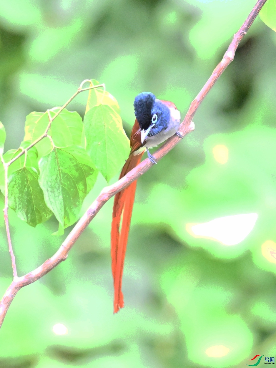 DSC_7421.JPG