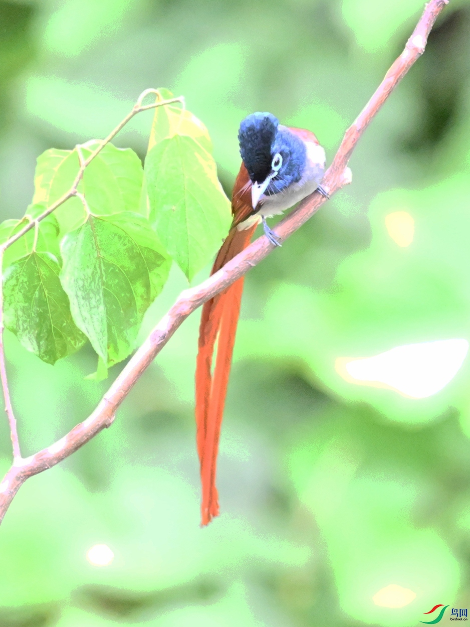 DSC_7422.JPG